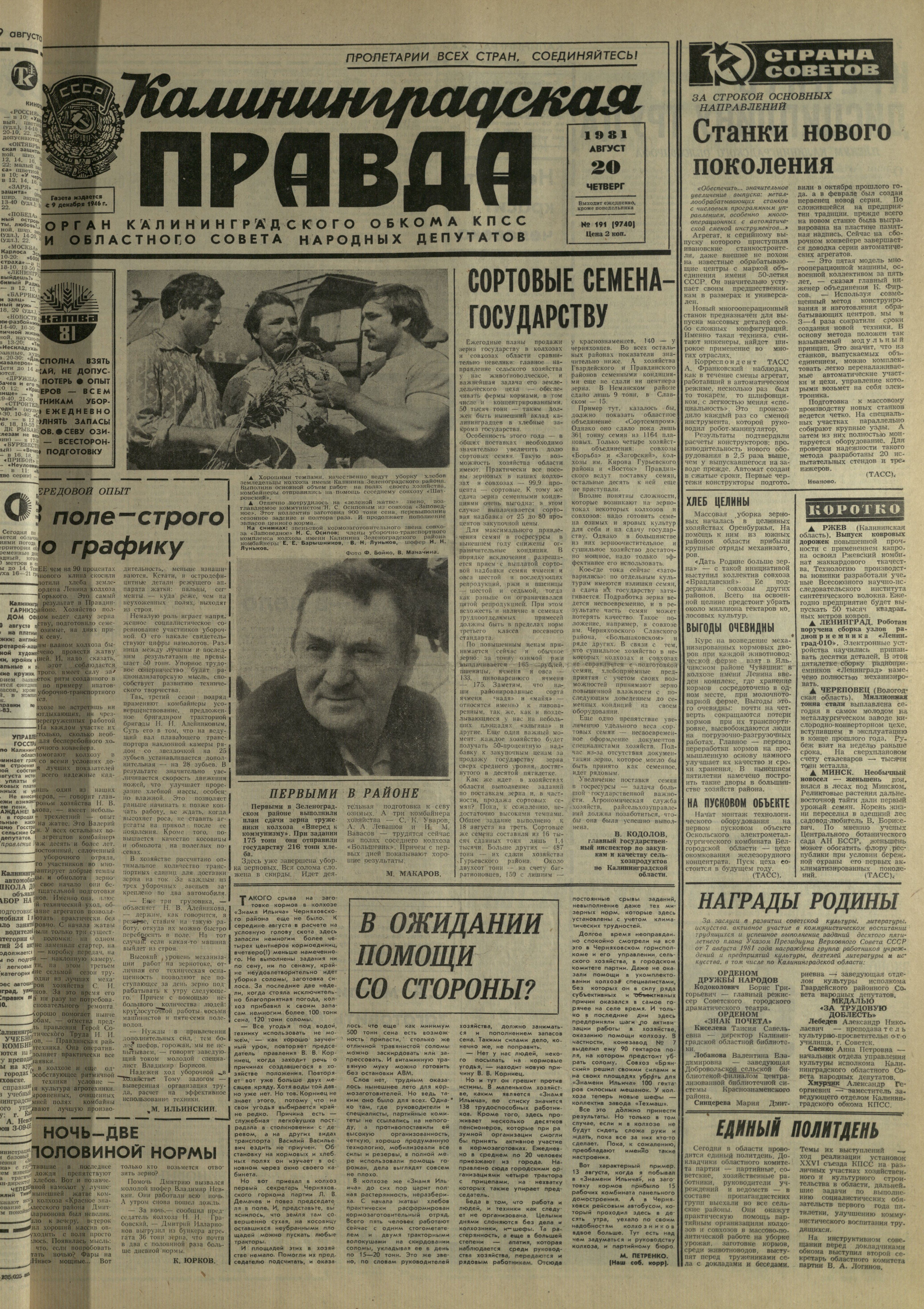 191-8-81-1