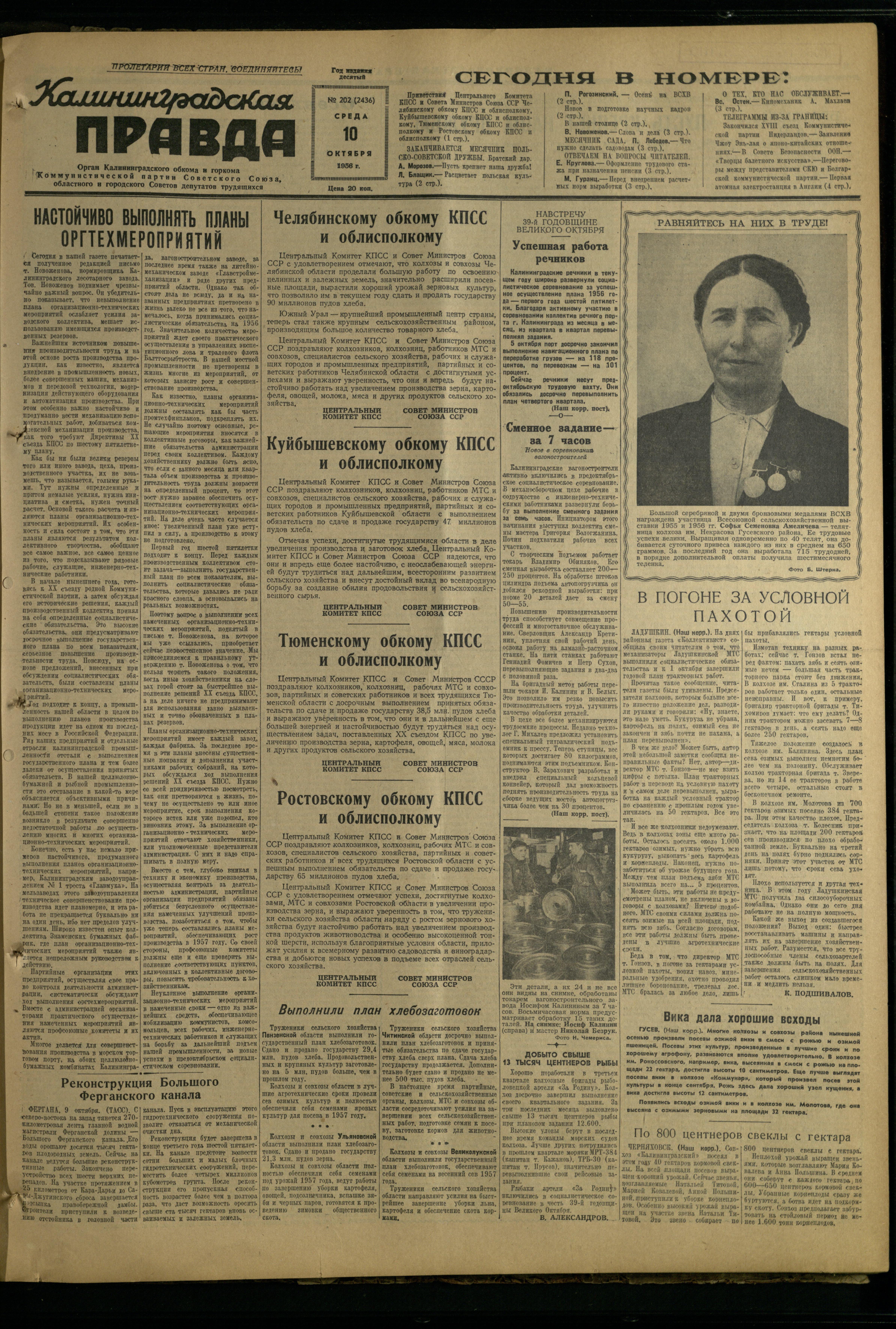 202-10-56-1