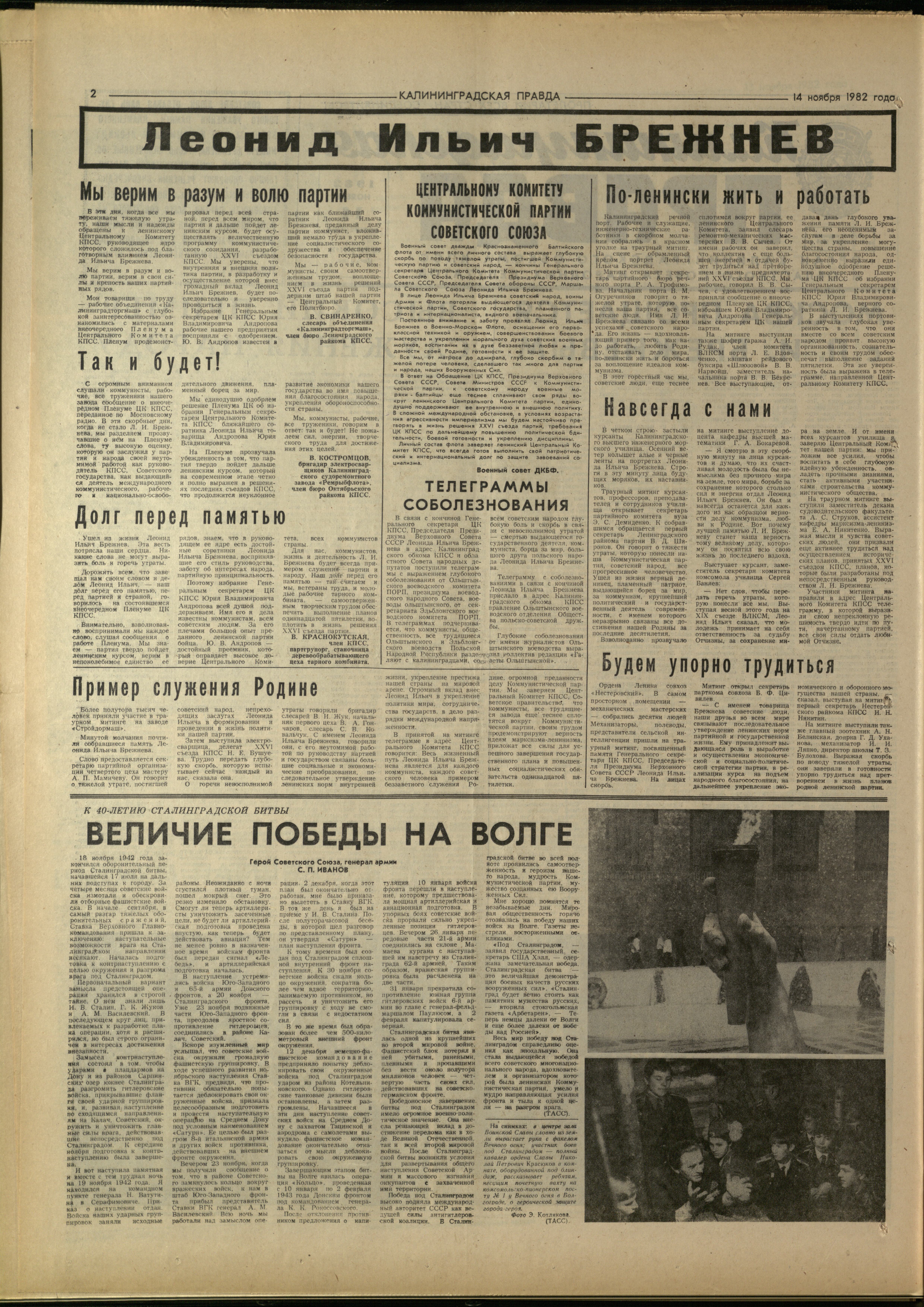 263-11-82-2