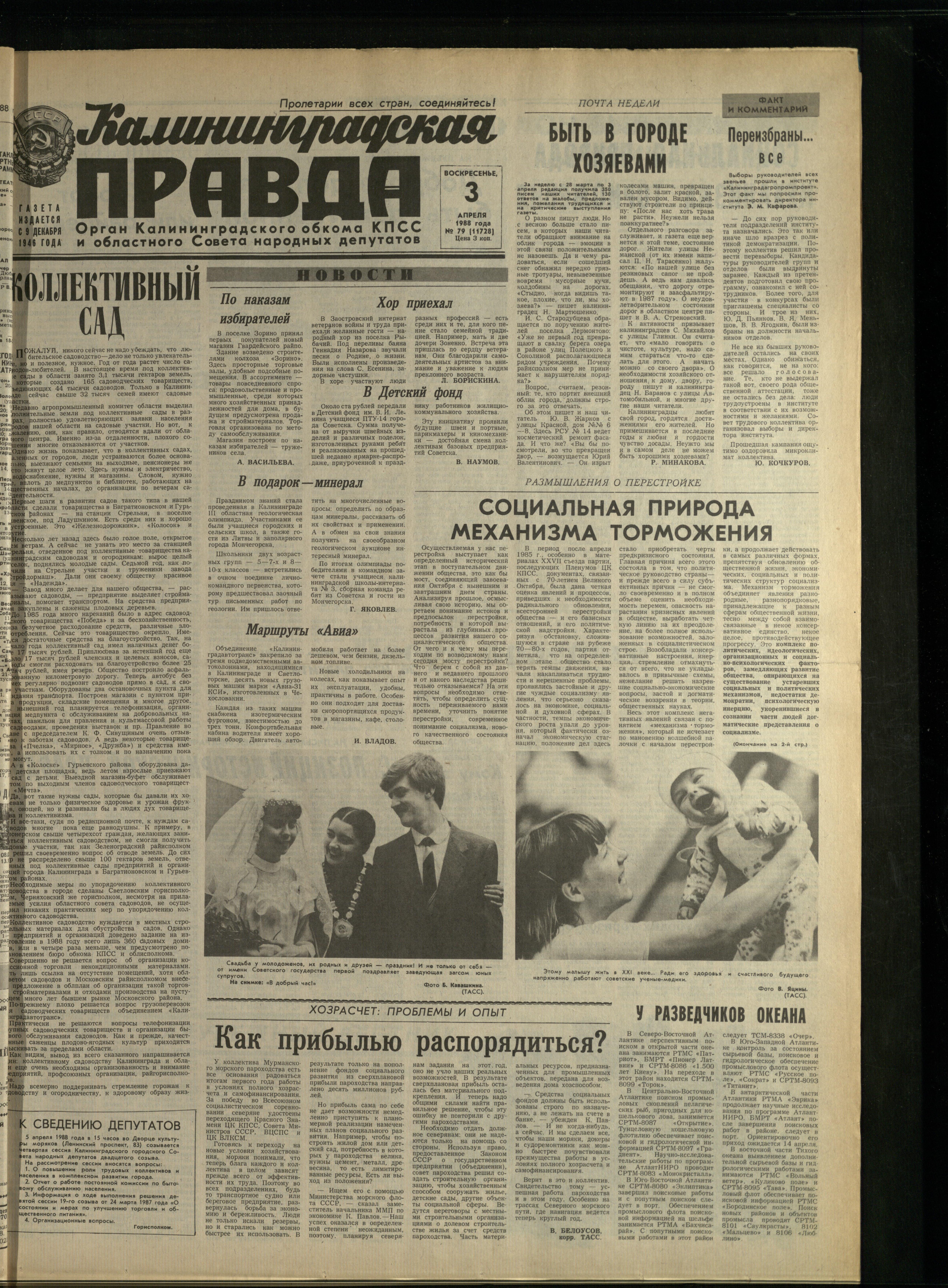 79-4-88-1
