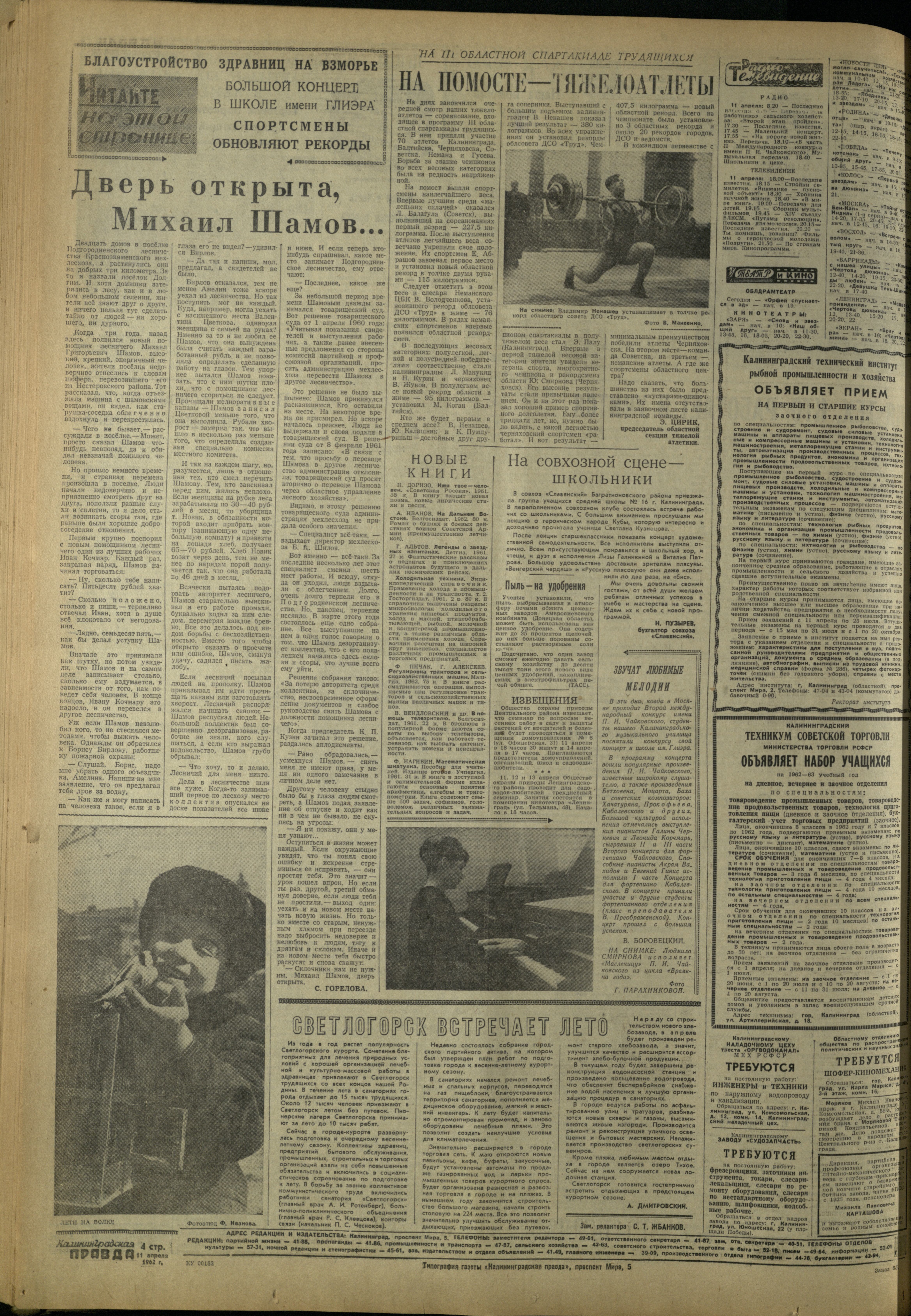 85-4-62-4