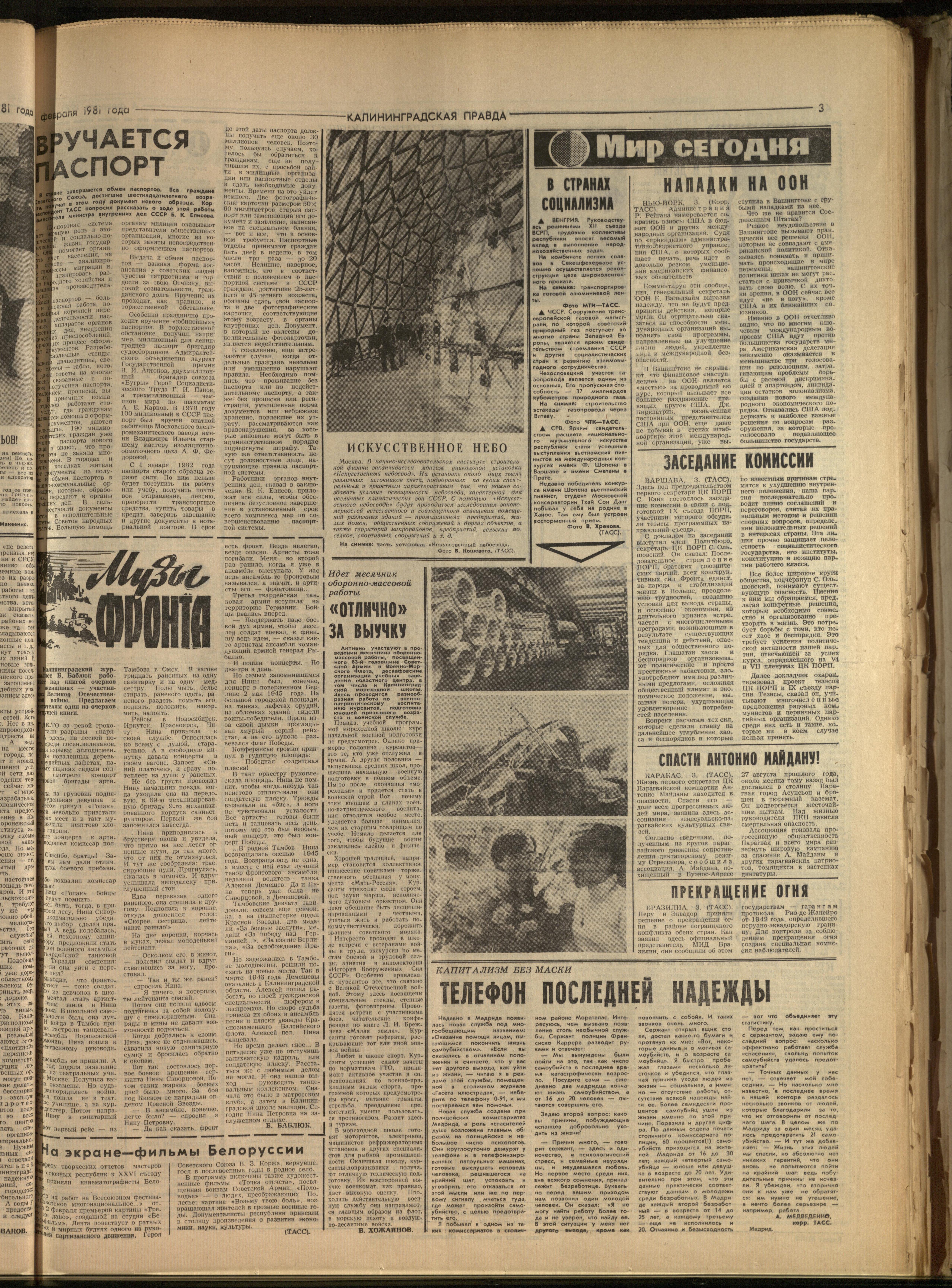 29-2-81-3