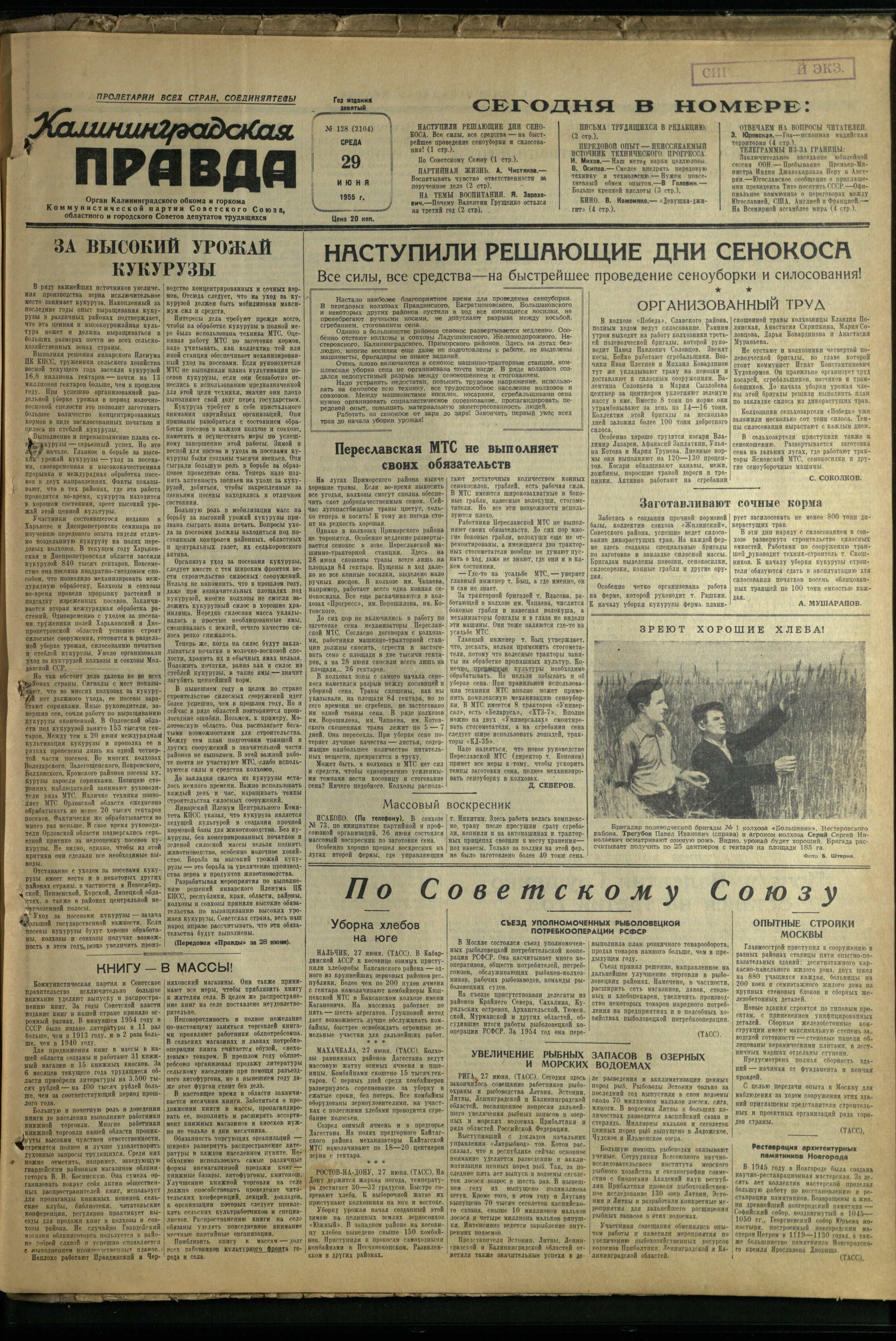 128-6-55-1
