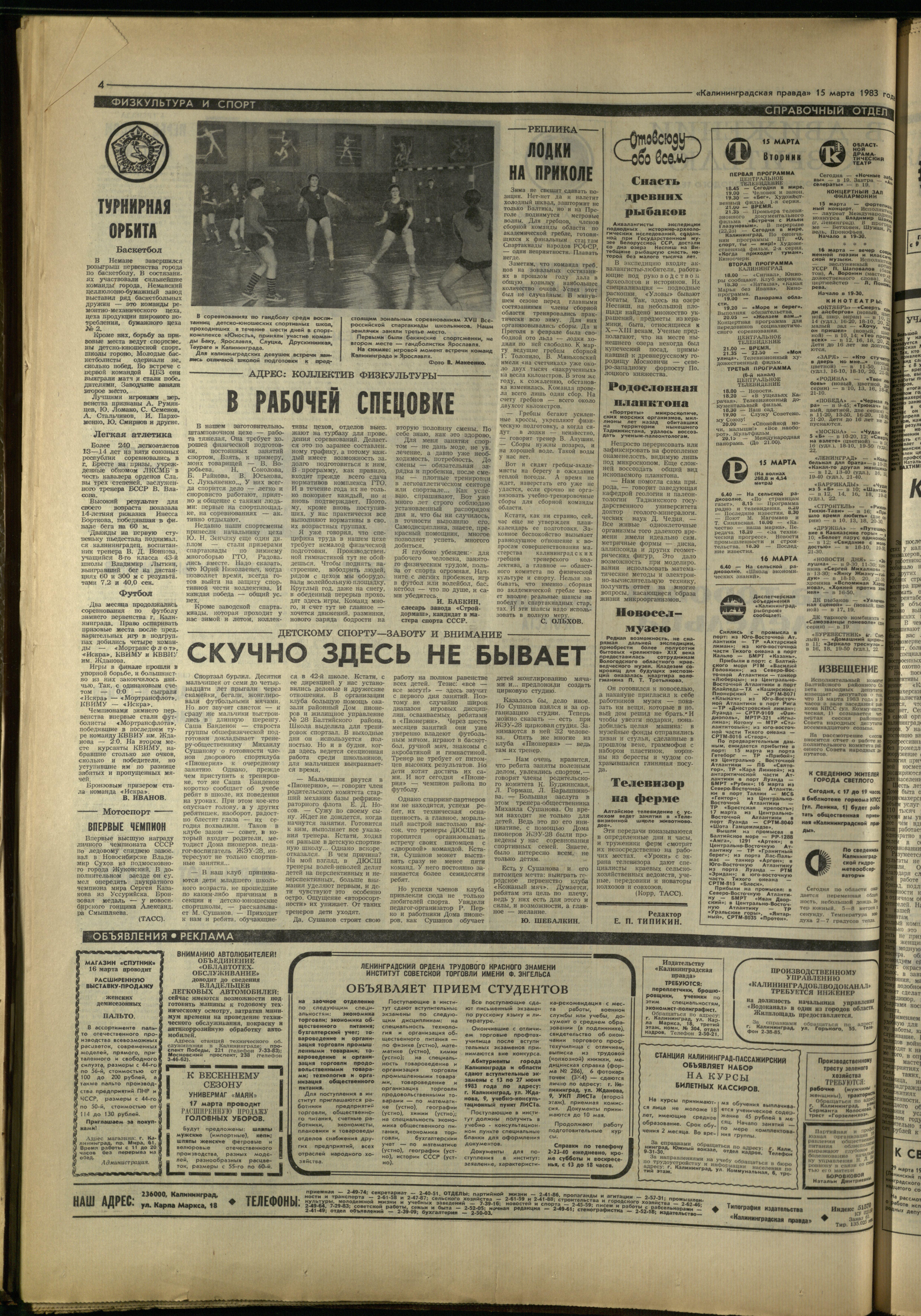 61-3-83-4