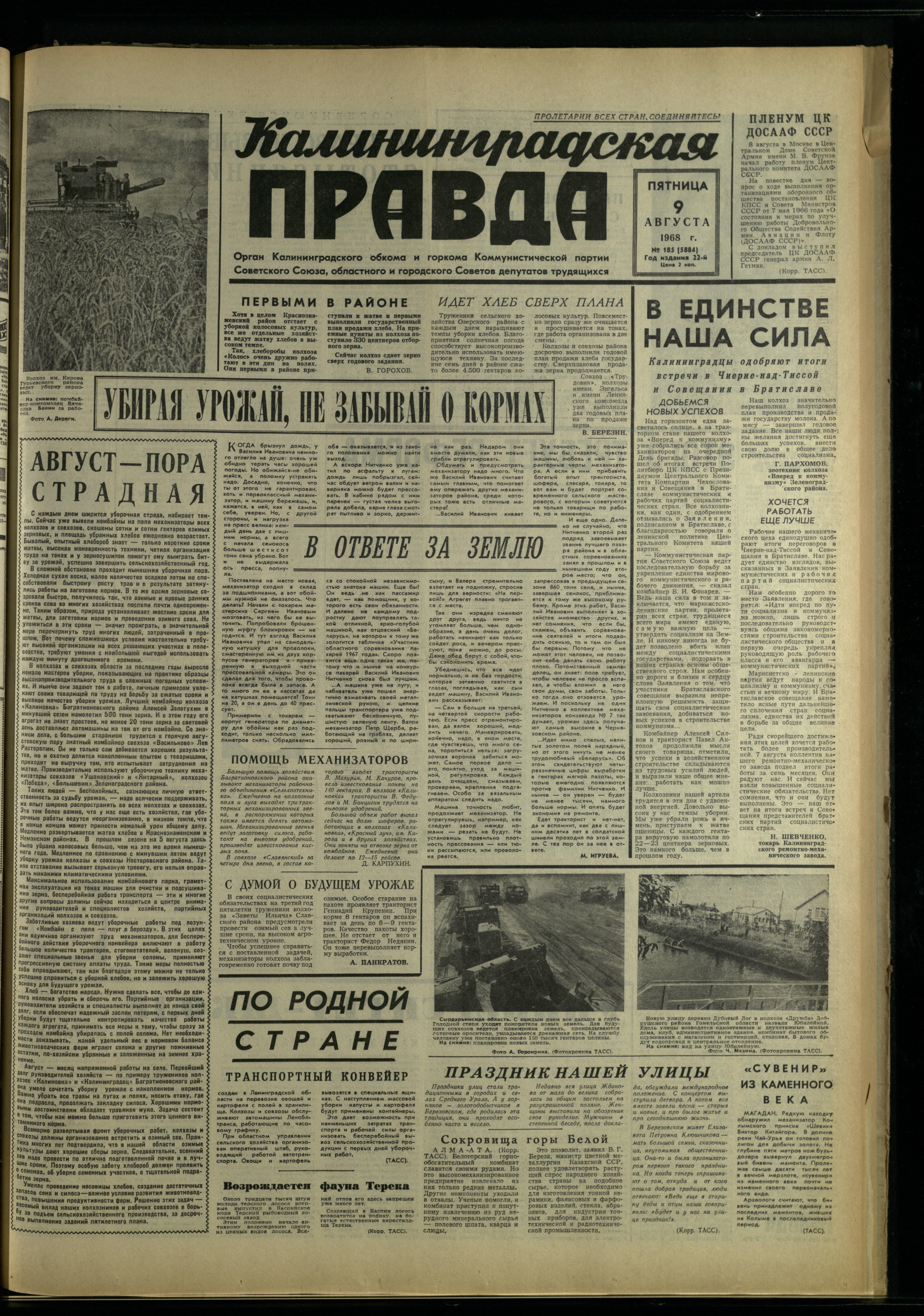 185-8-68-1