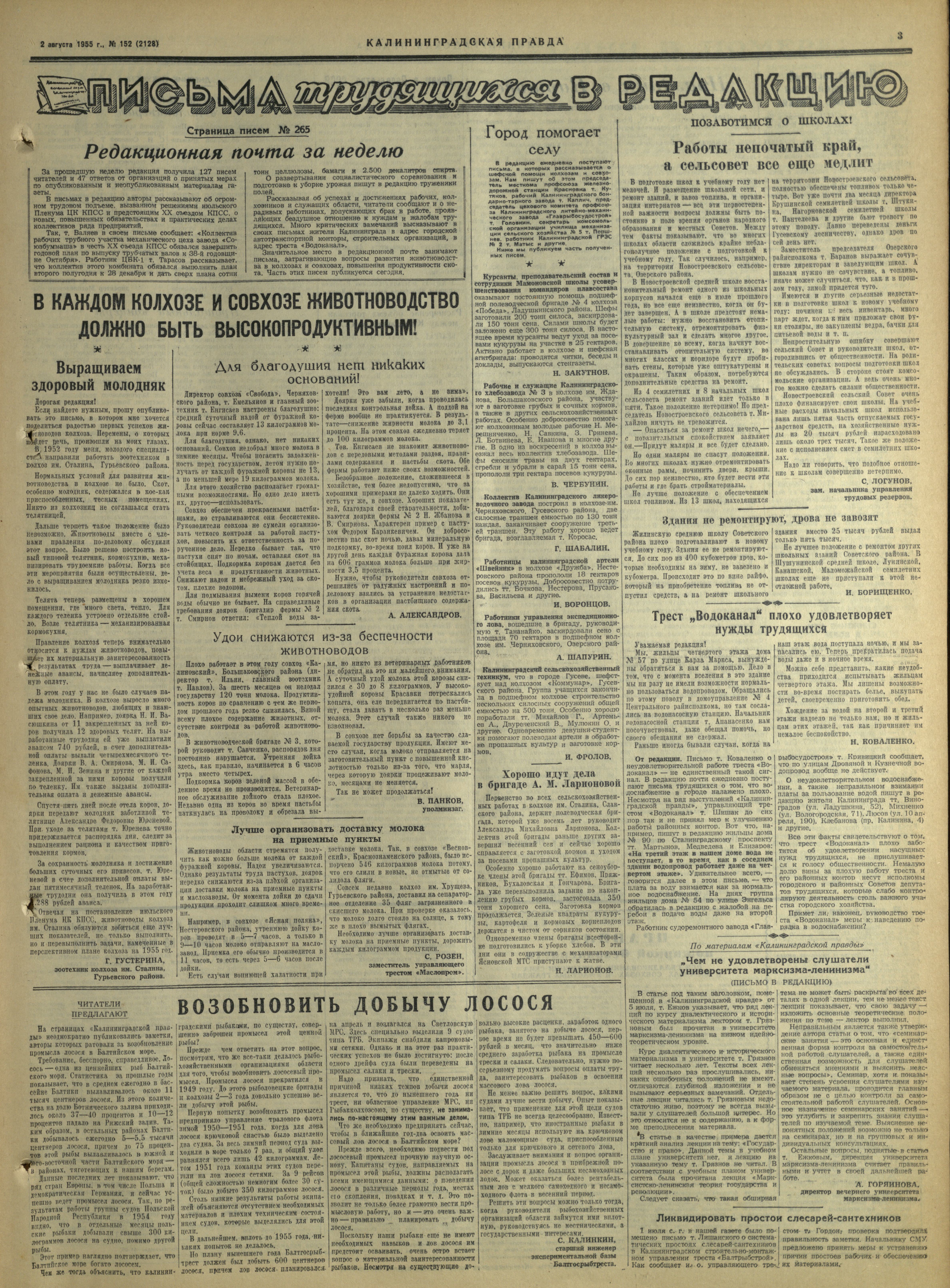 152-8-55-3