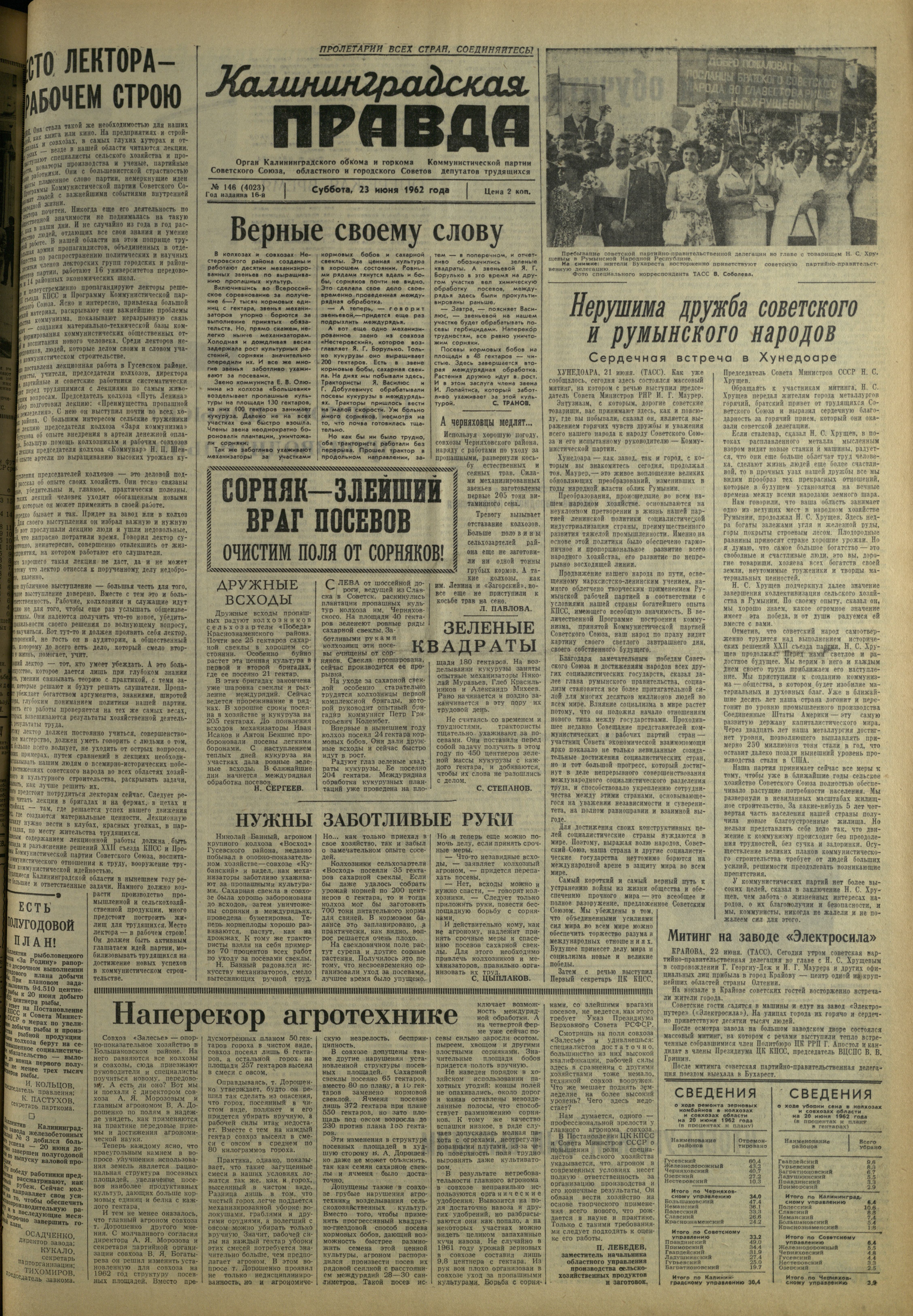 146-6-62-1