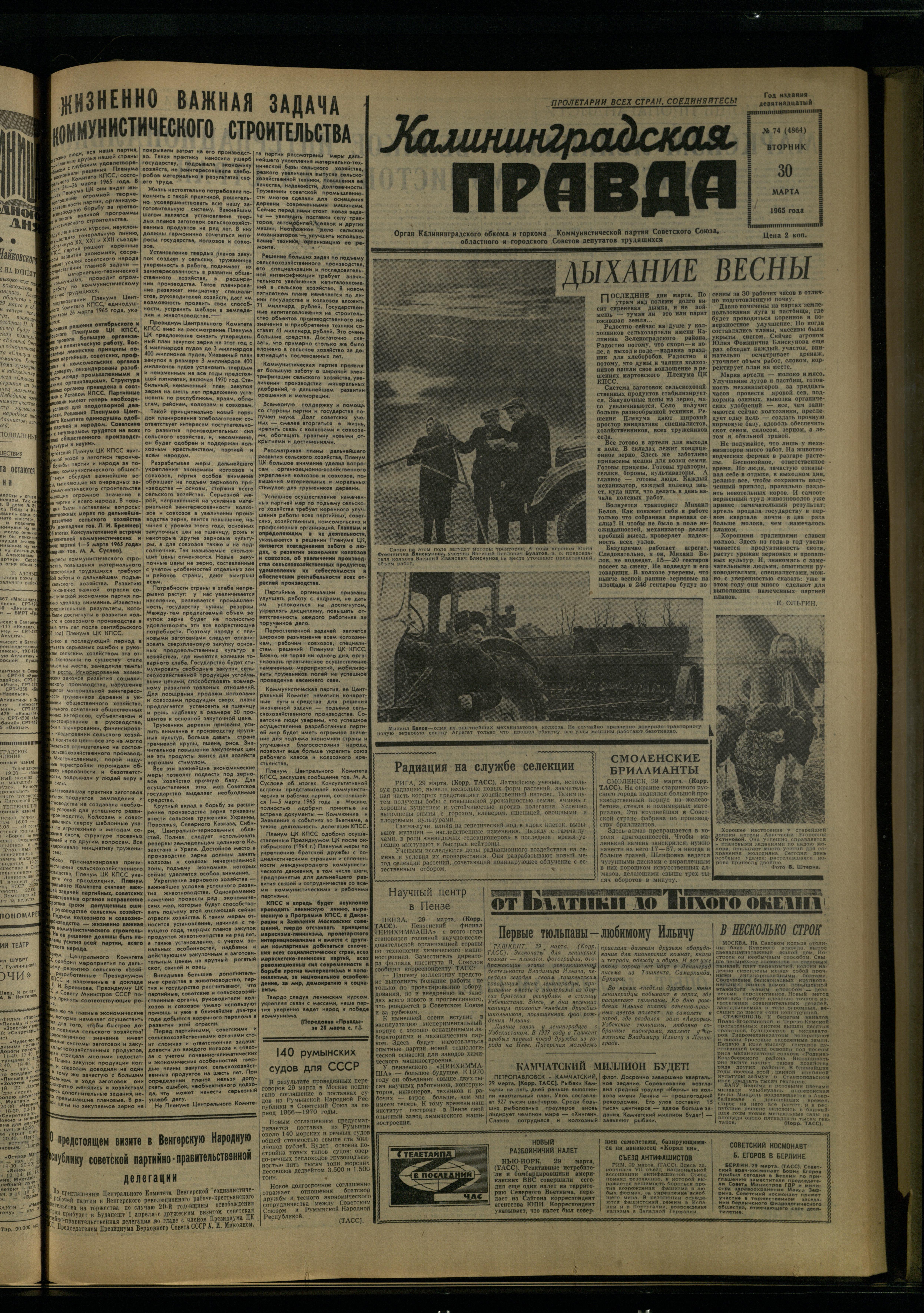 74-3-65-1