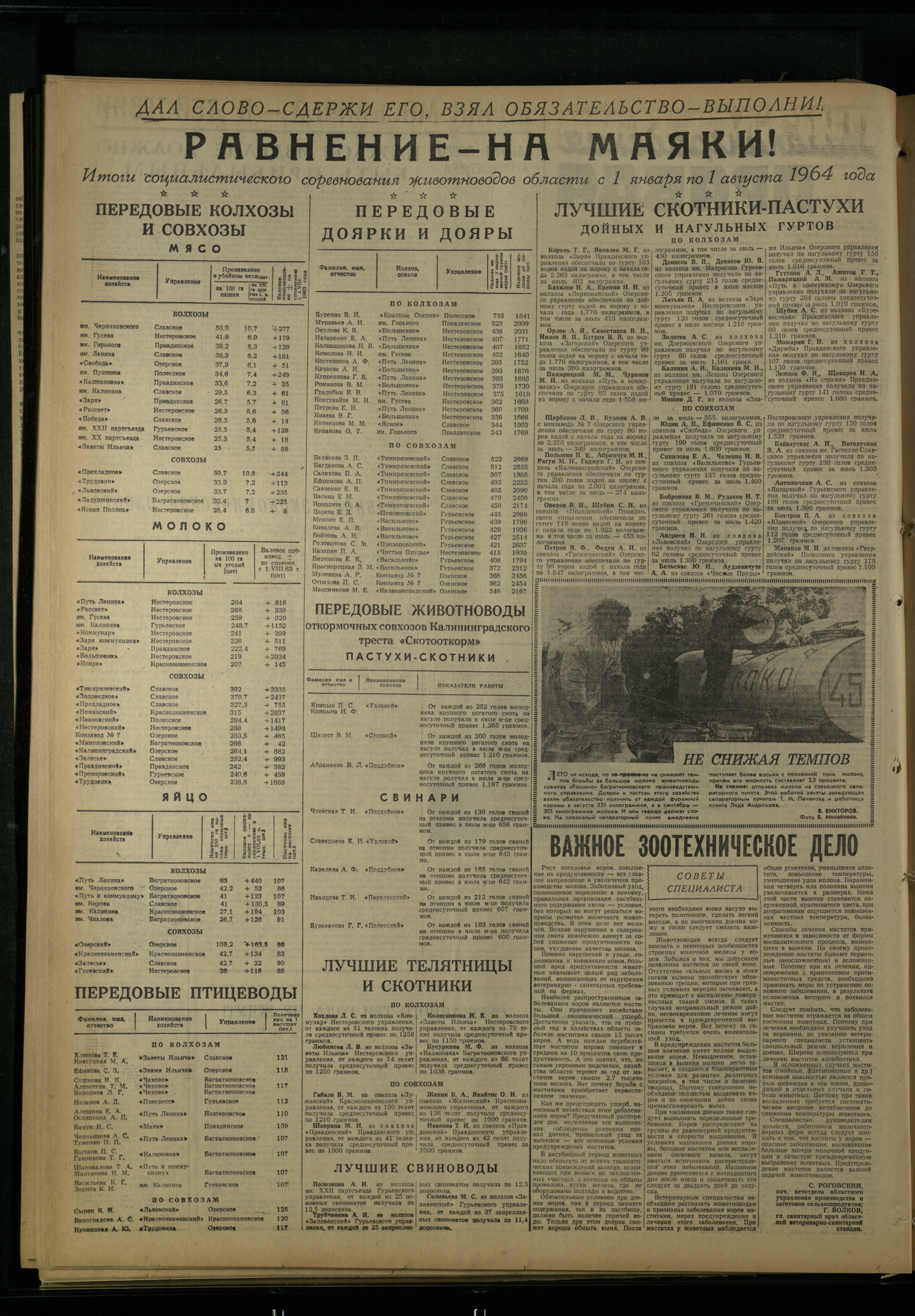 196-8-64-2