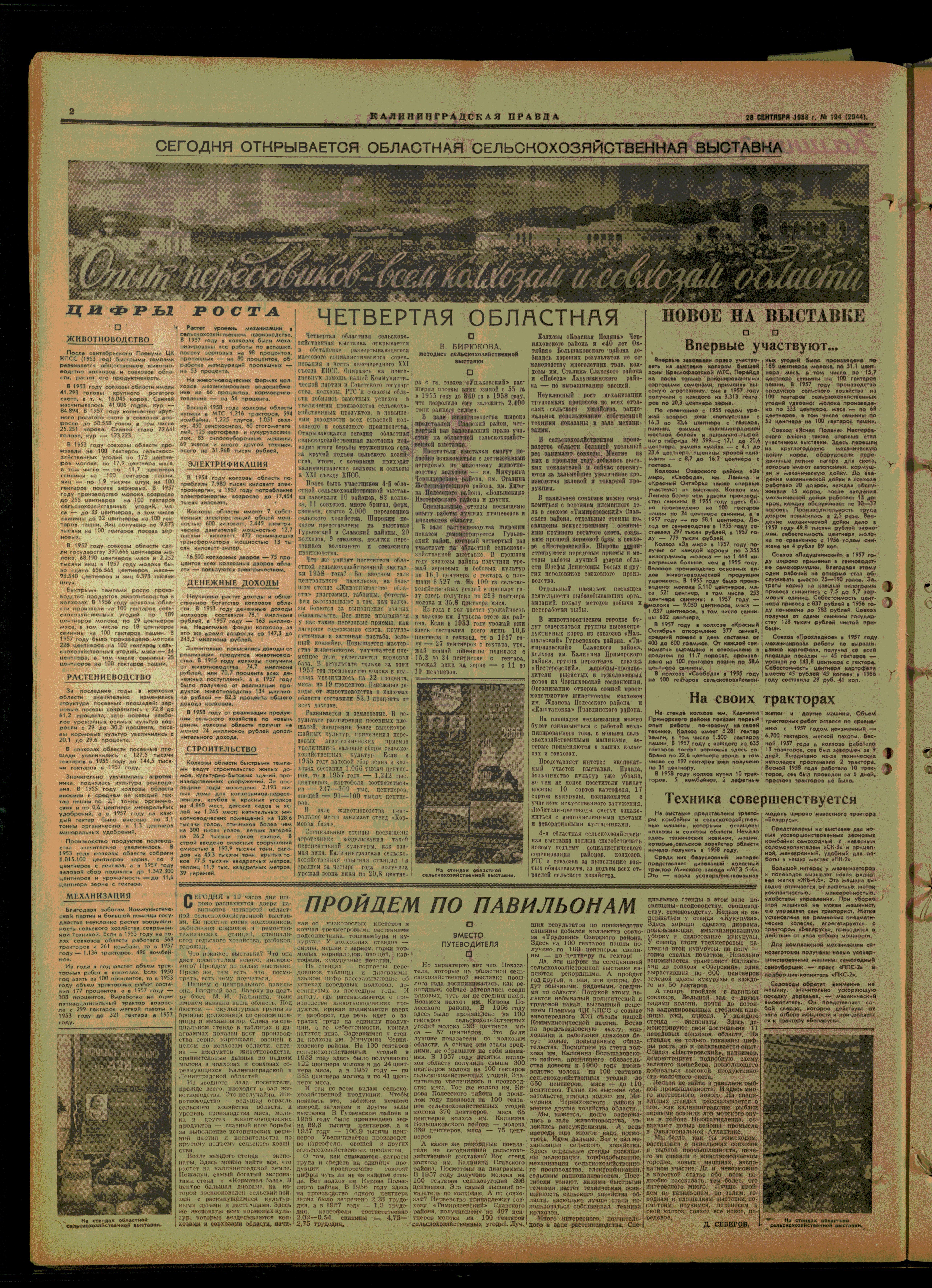 194-9-58-2
