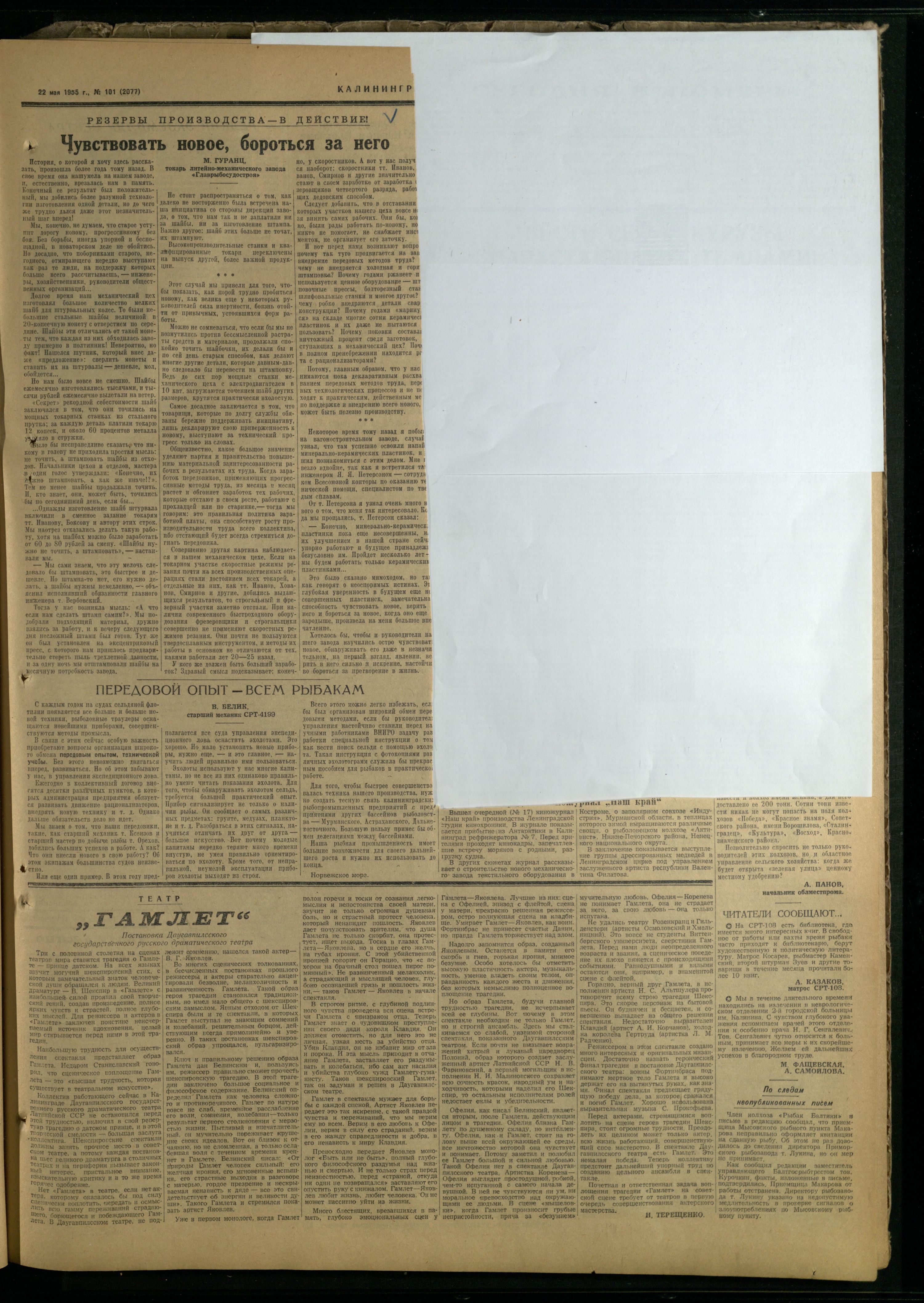 101-5-55-3