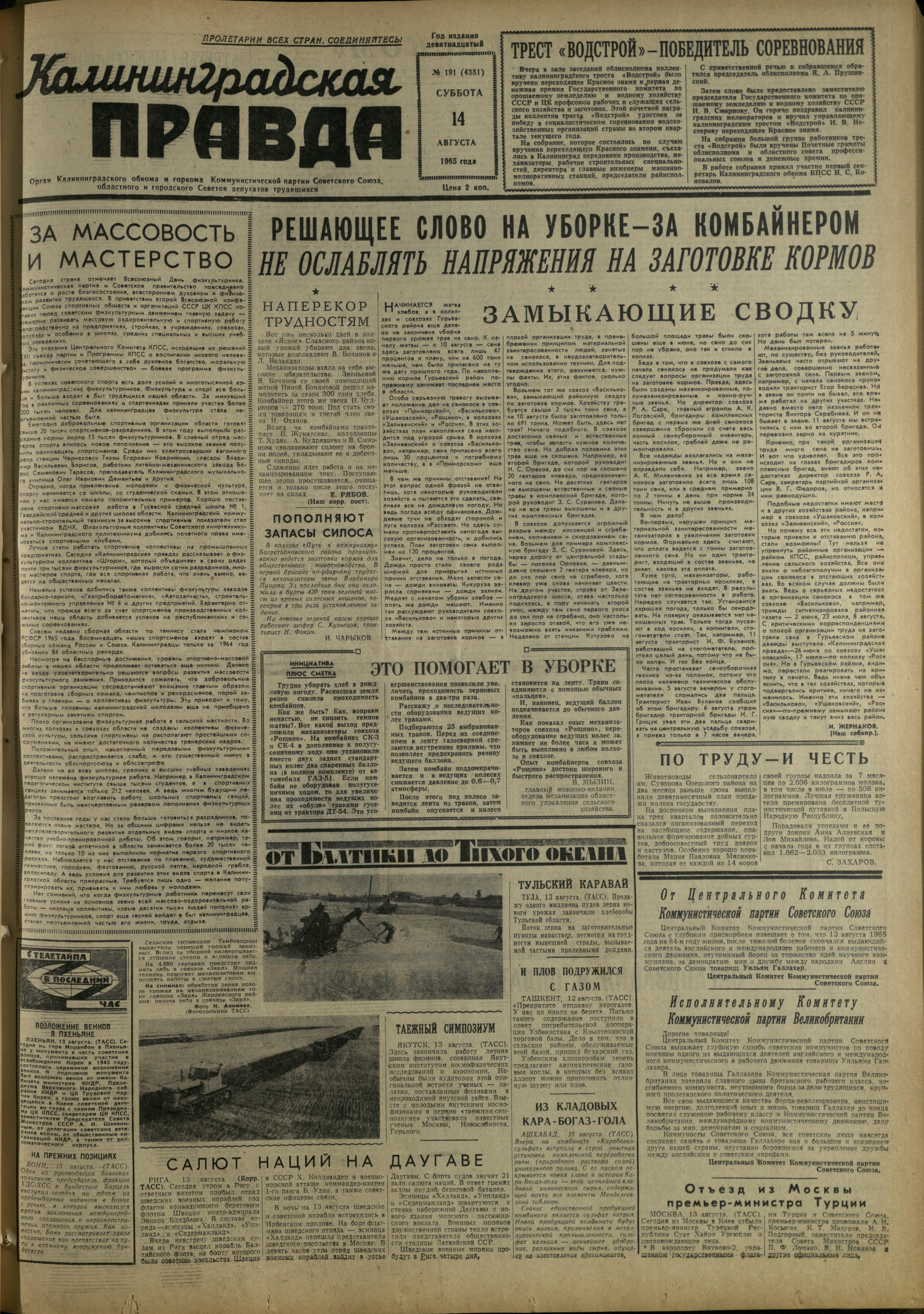 191-8-65-1