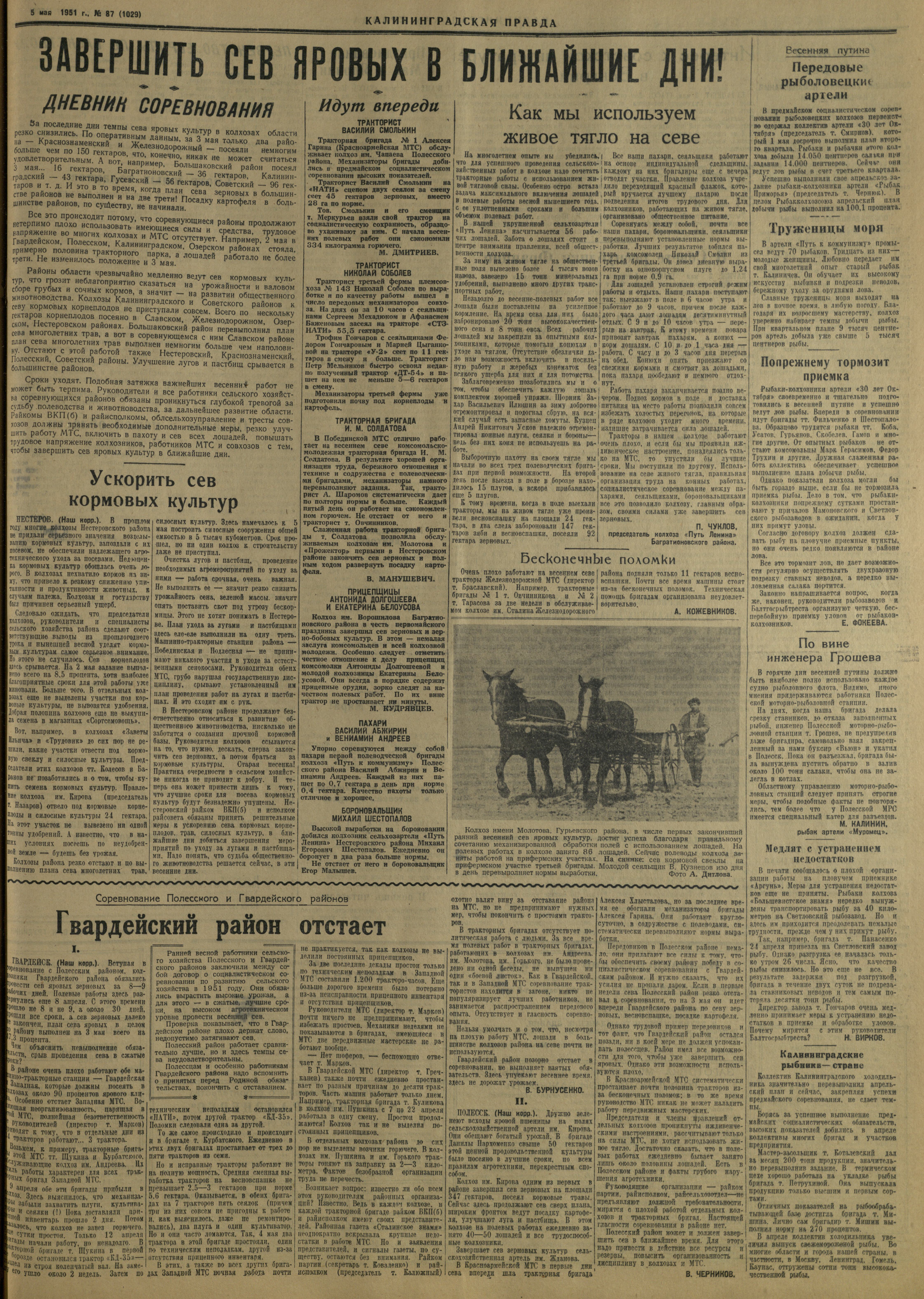 87-5-51-3