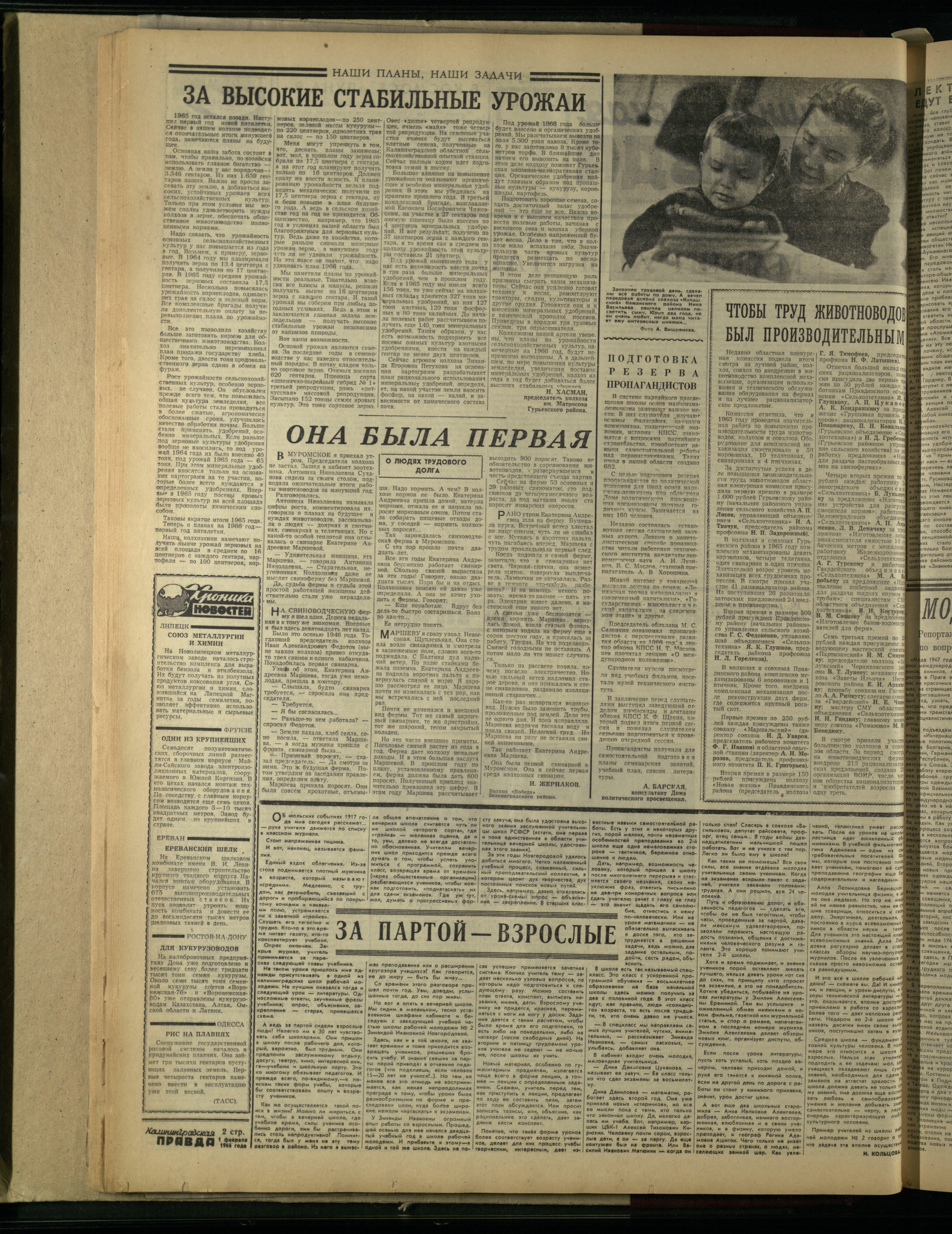 26-2-66-2