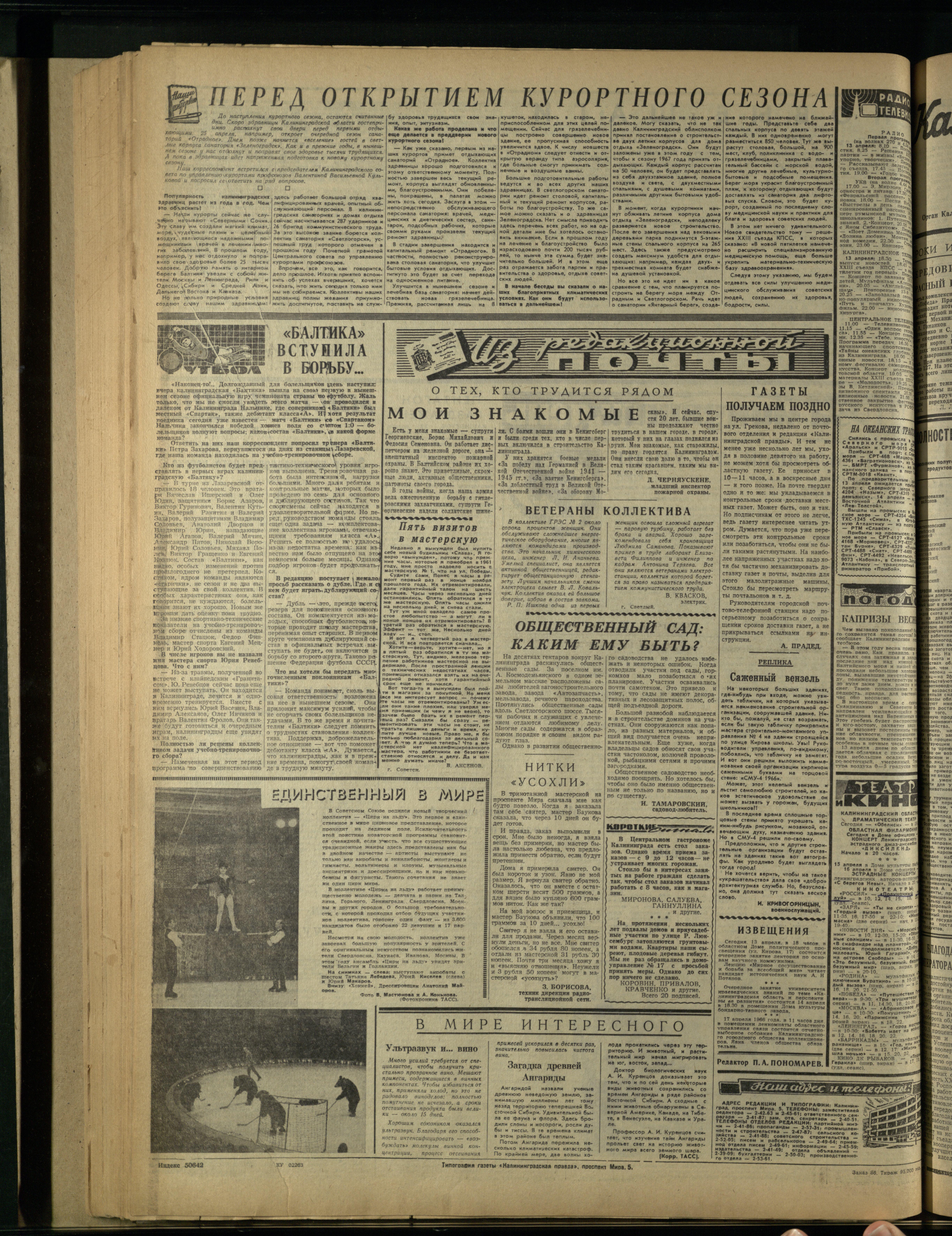 85-4-66-6