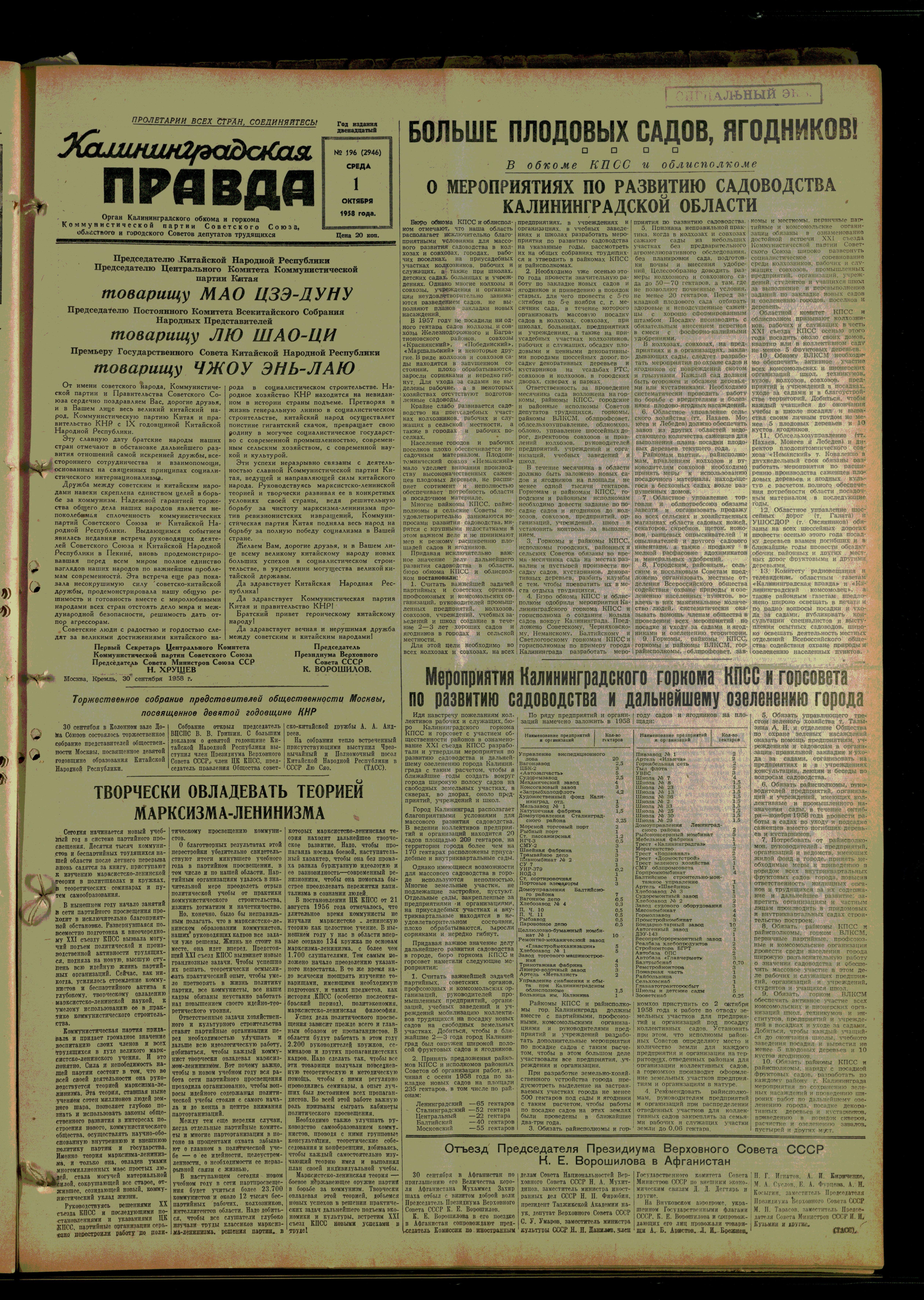196-10-58-1