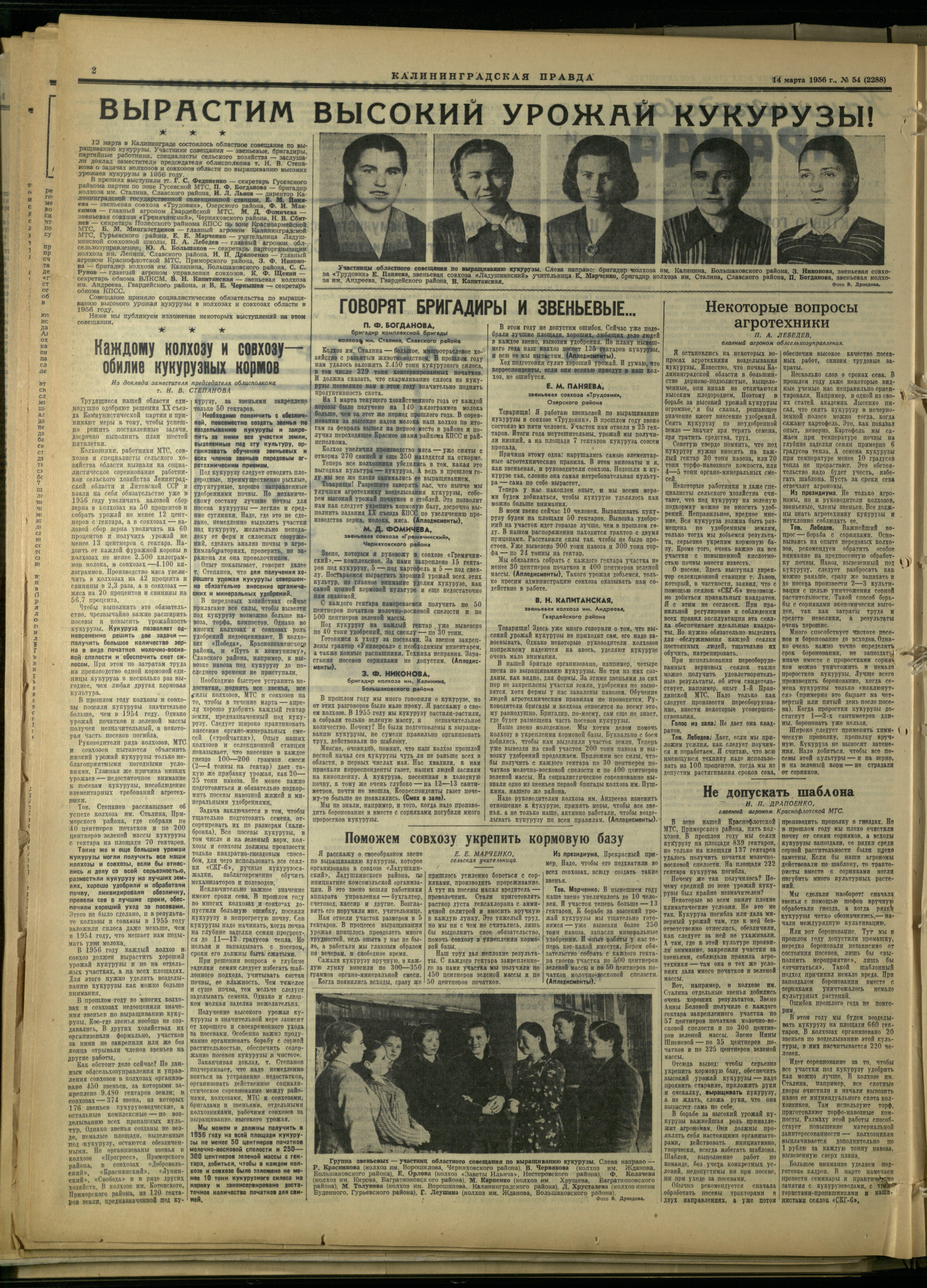 54-3-56-2