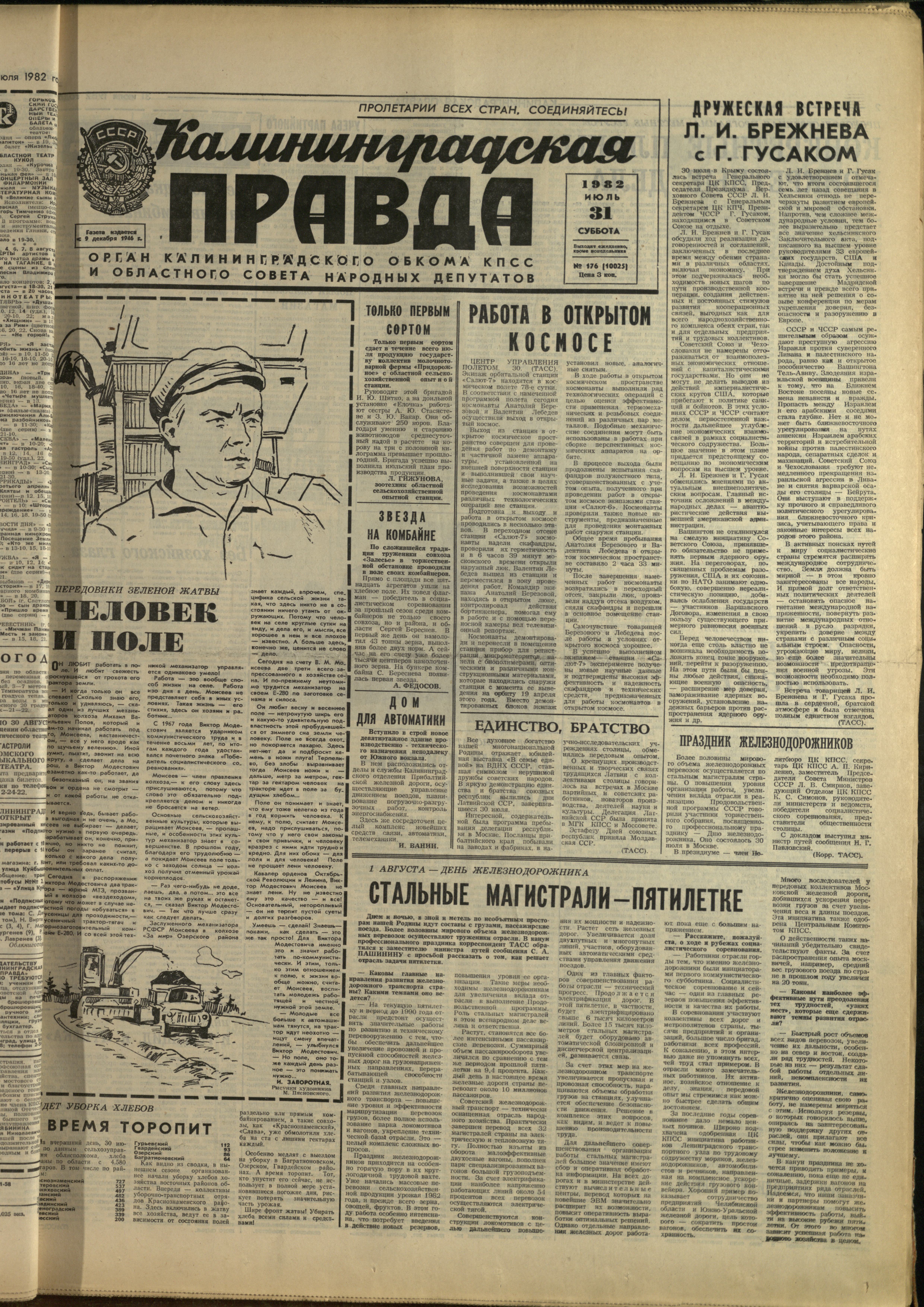 176-7-82-1