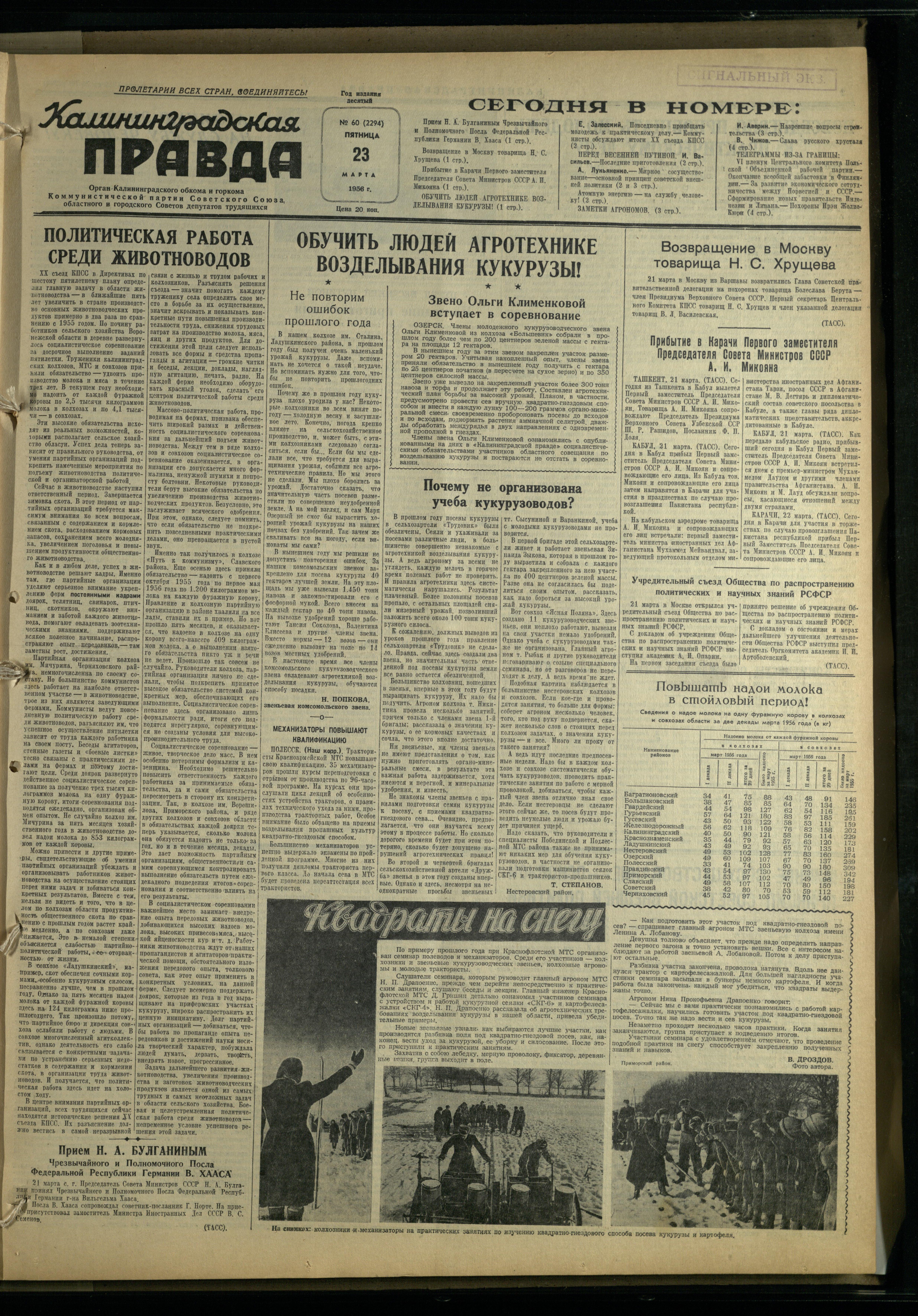 60-3-56-1