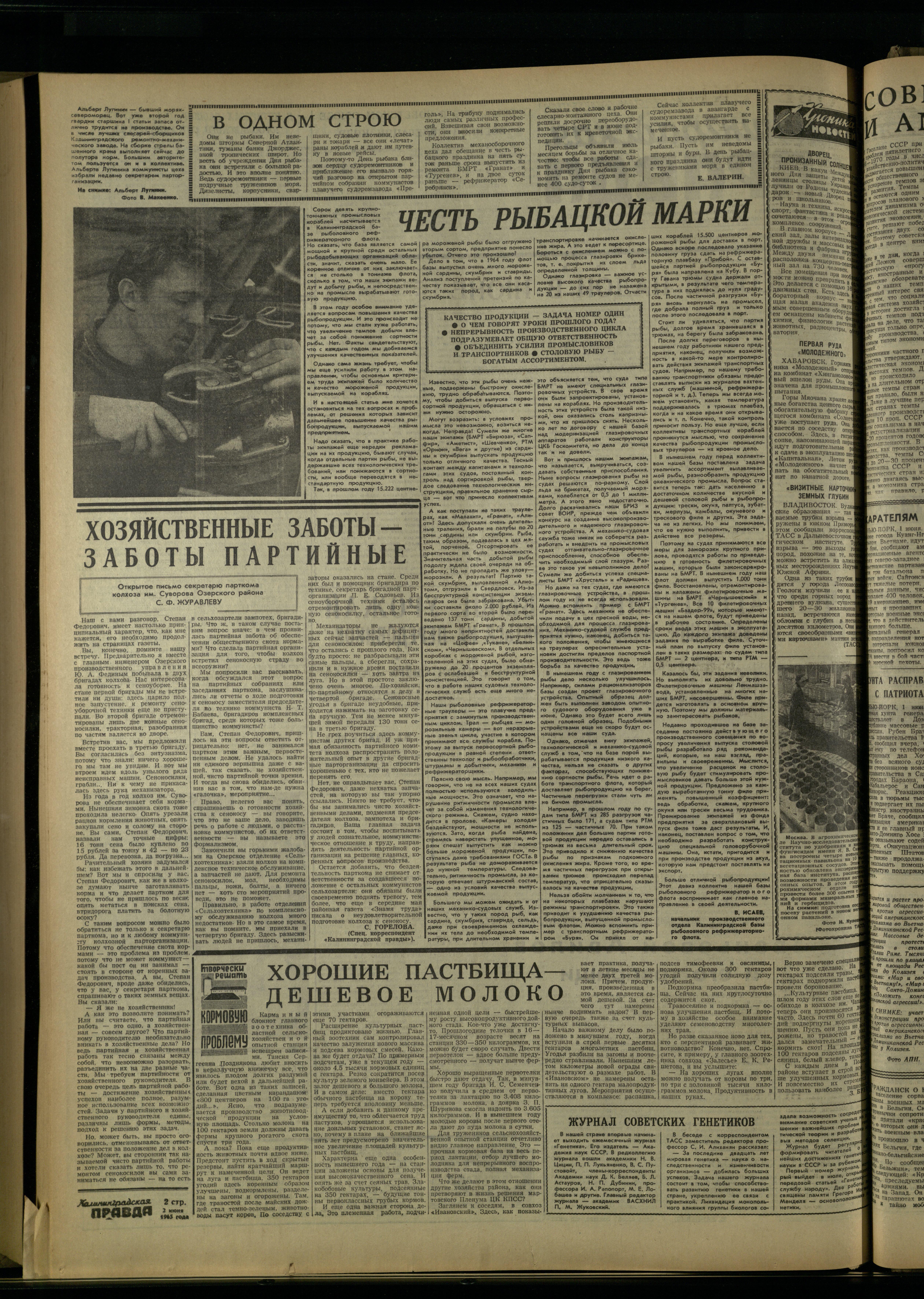 128-6-65-2