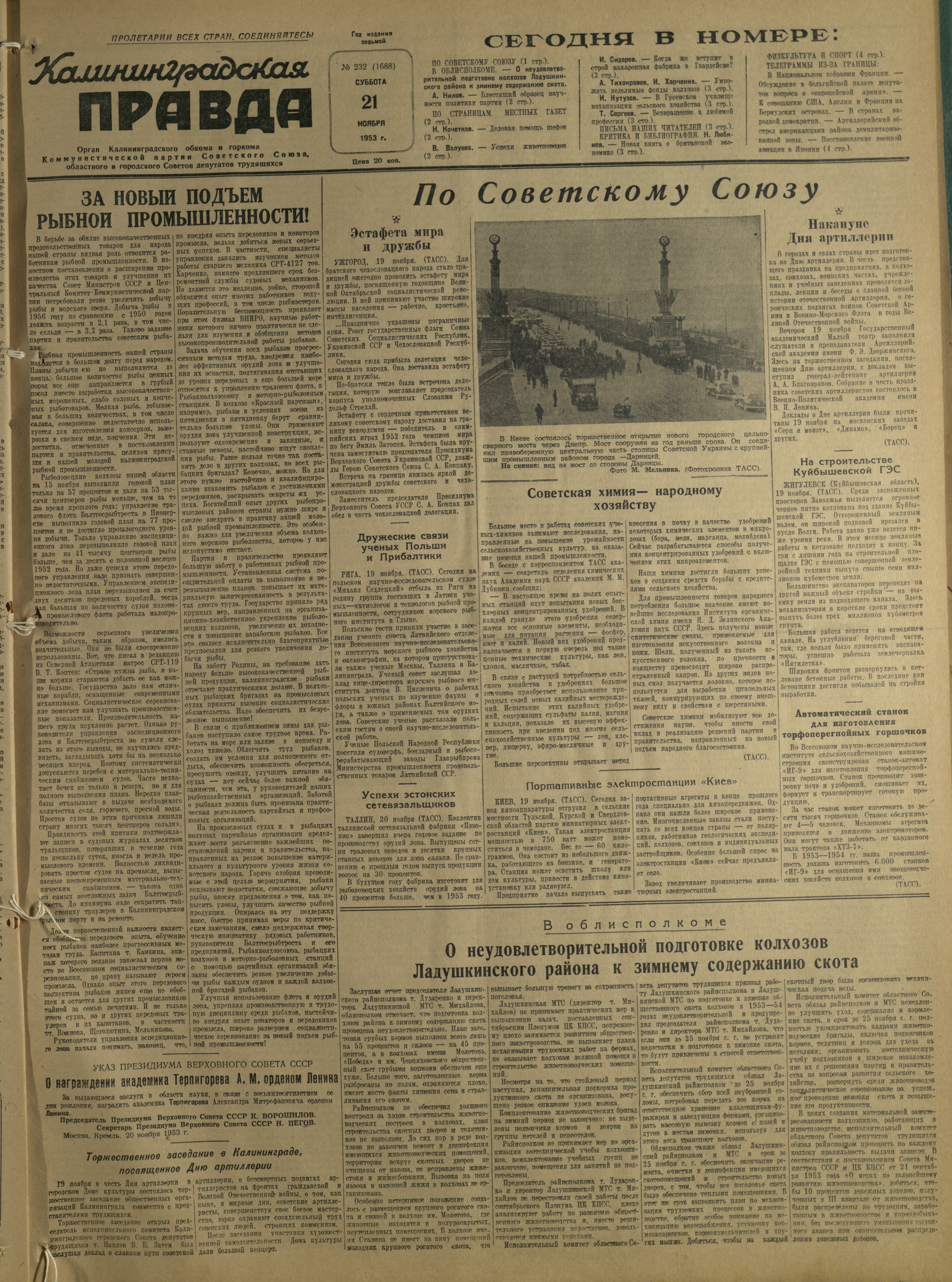 232-11-53-1