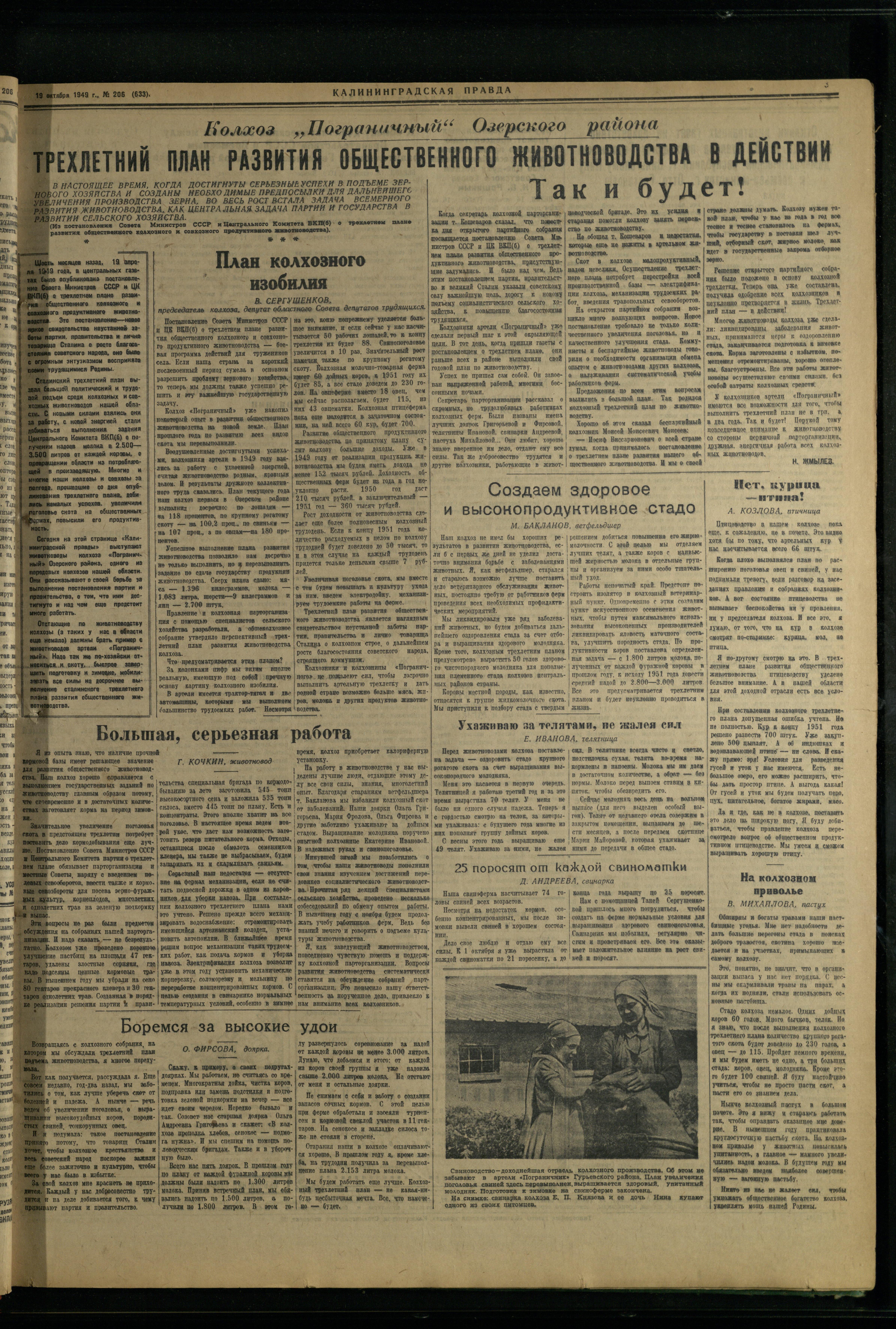 206-10-49-3