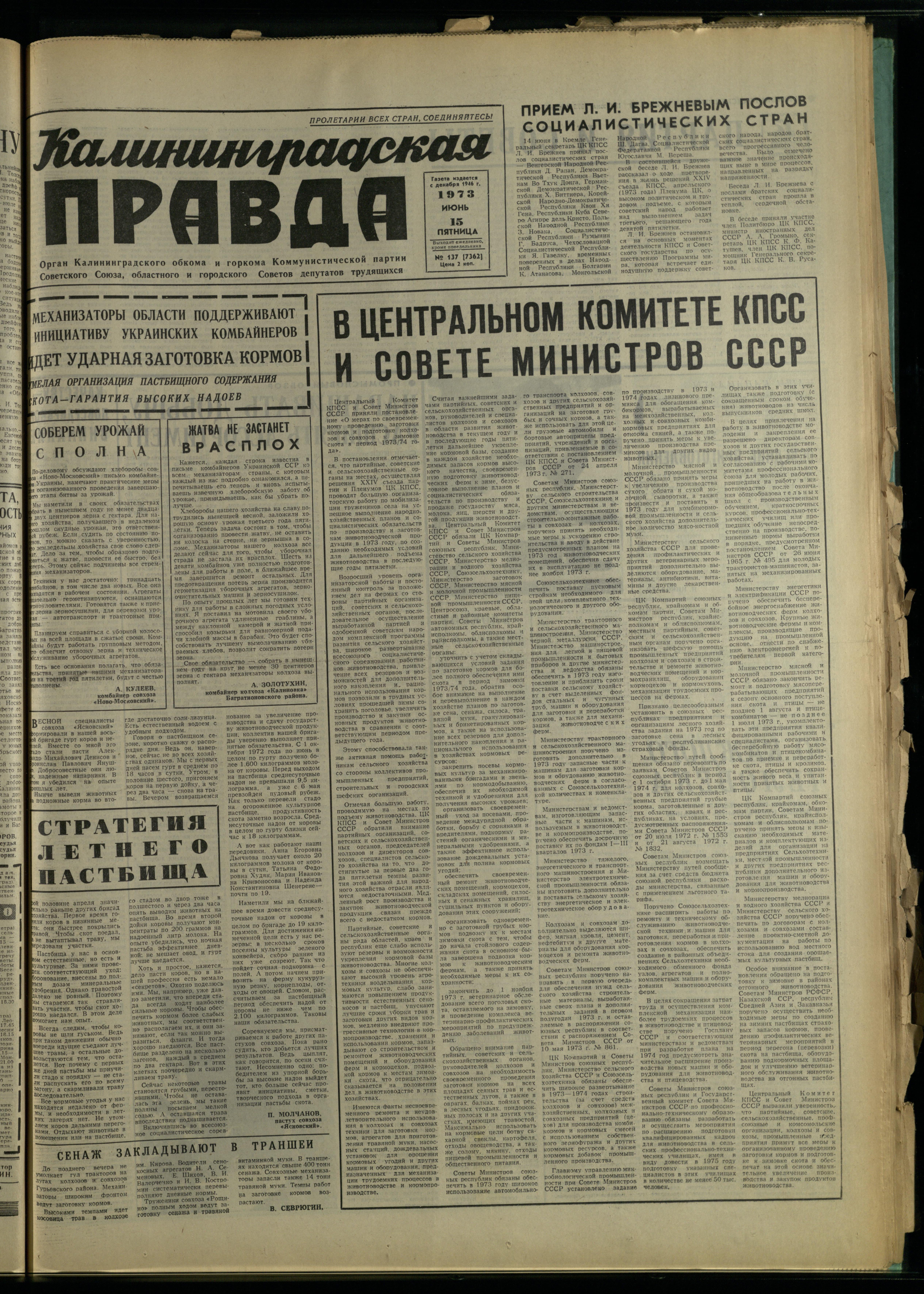 137-6-73-1