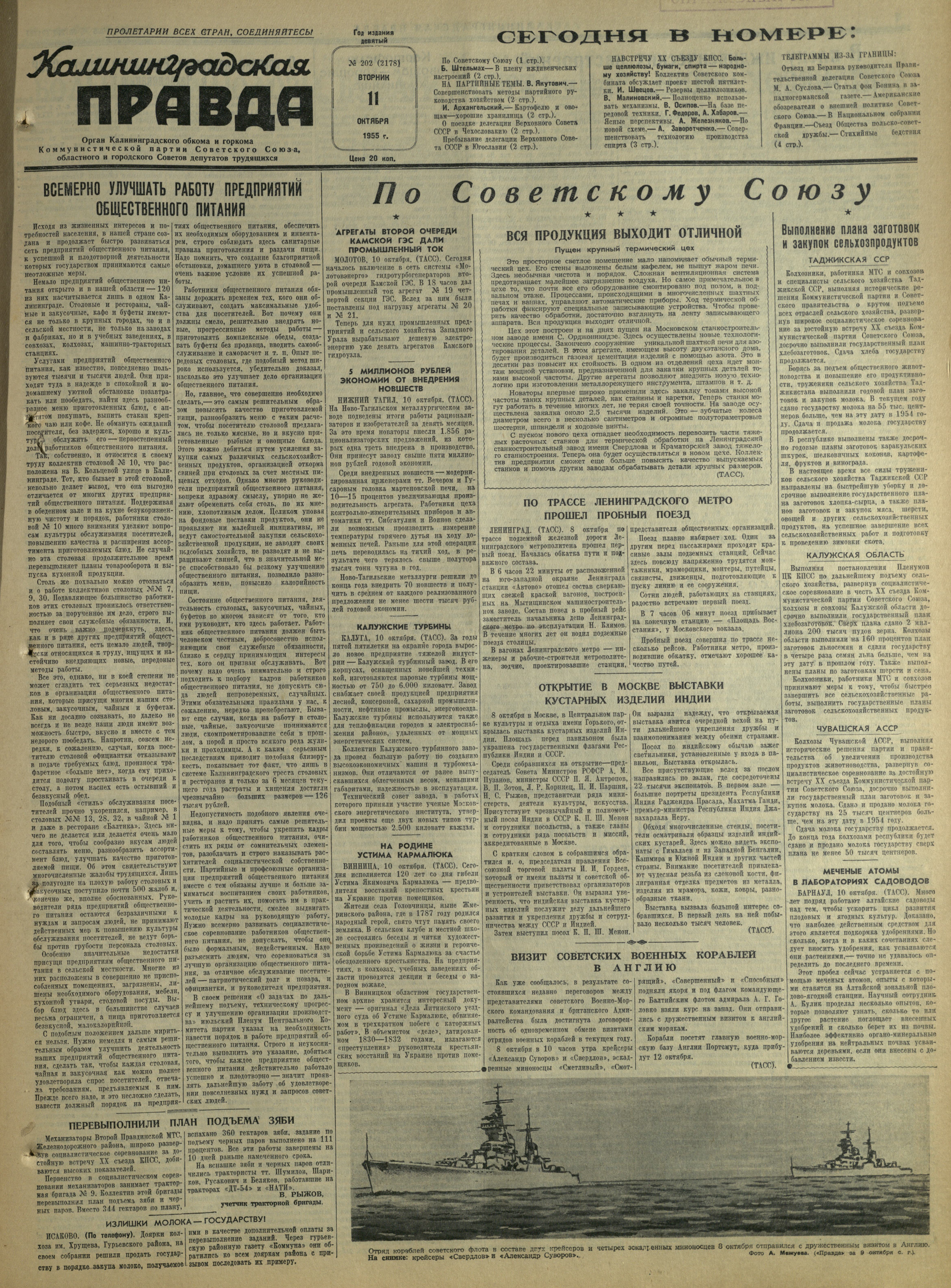 202-10-55-1