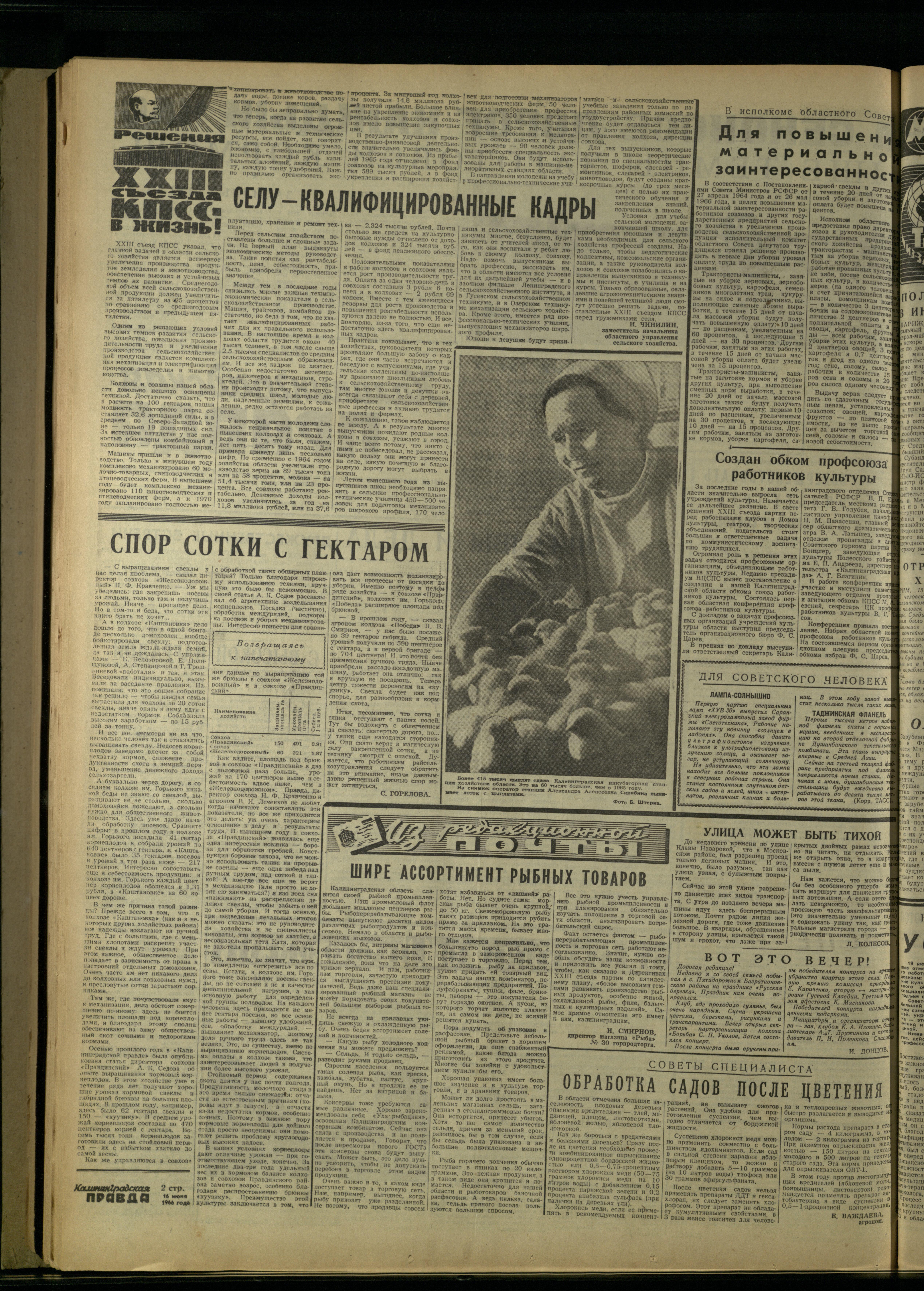 139-6-66-2