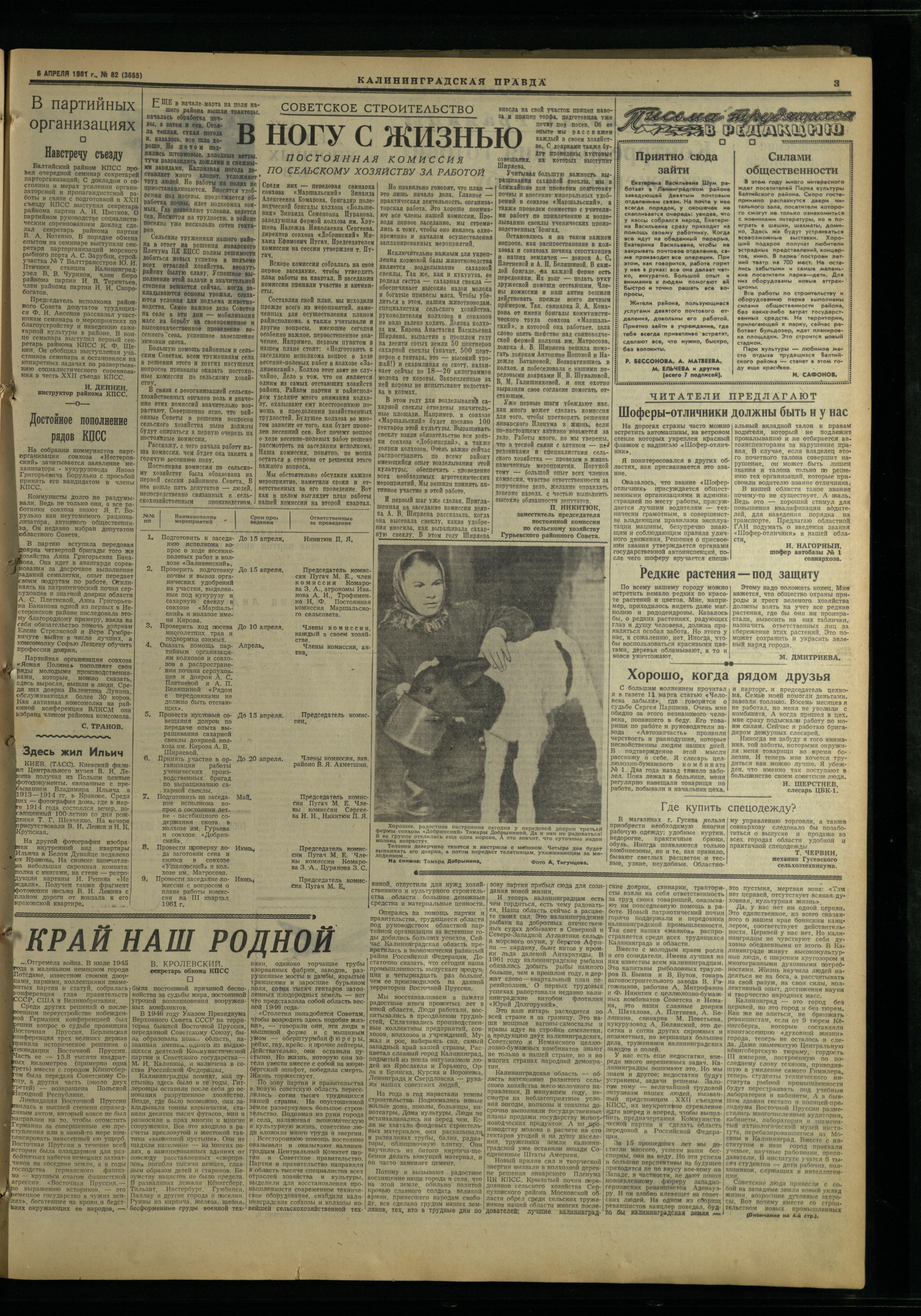 82-4-61-3