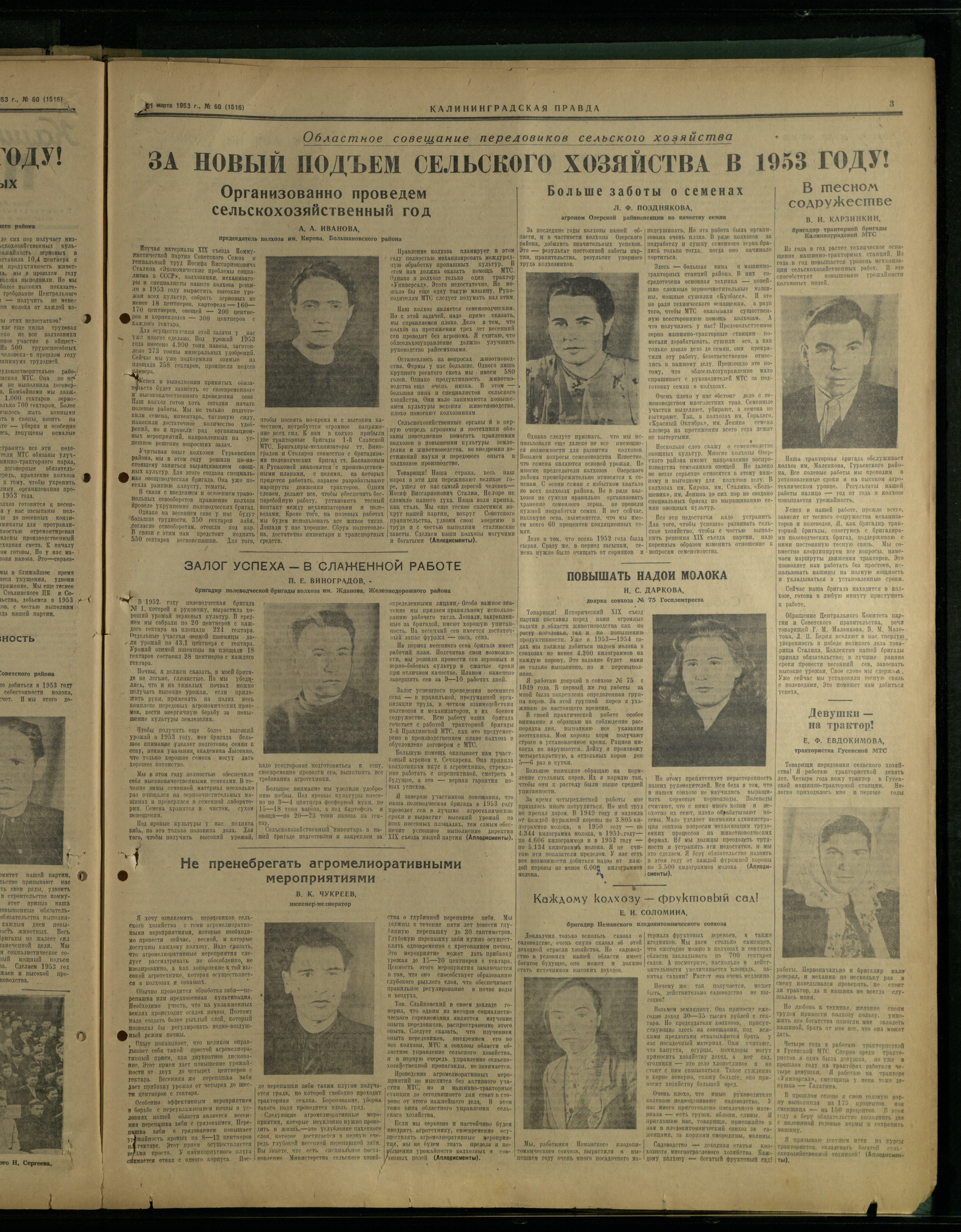 60-3-53-3