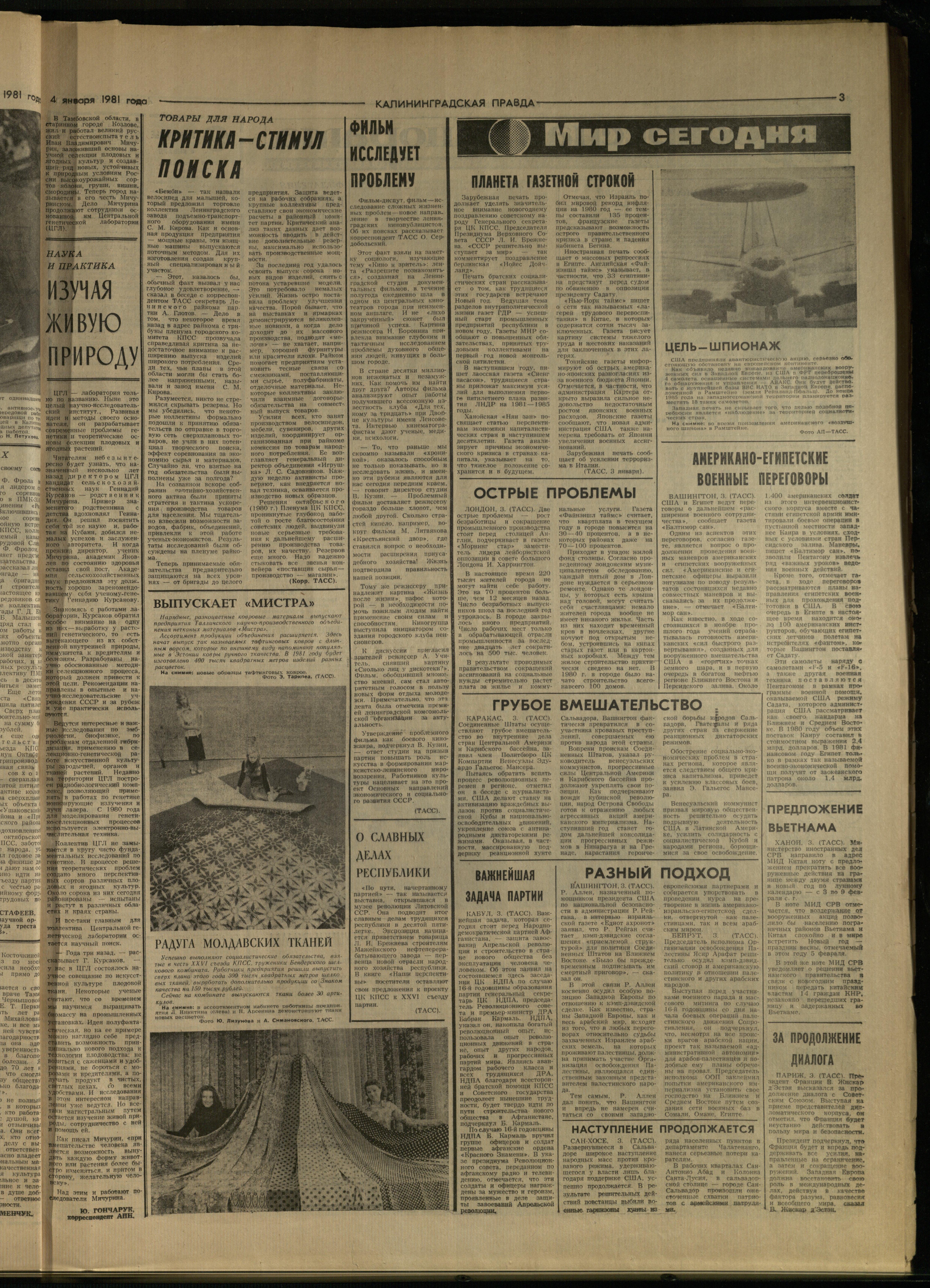3-1-81-3