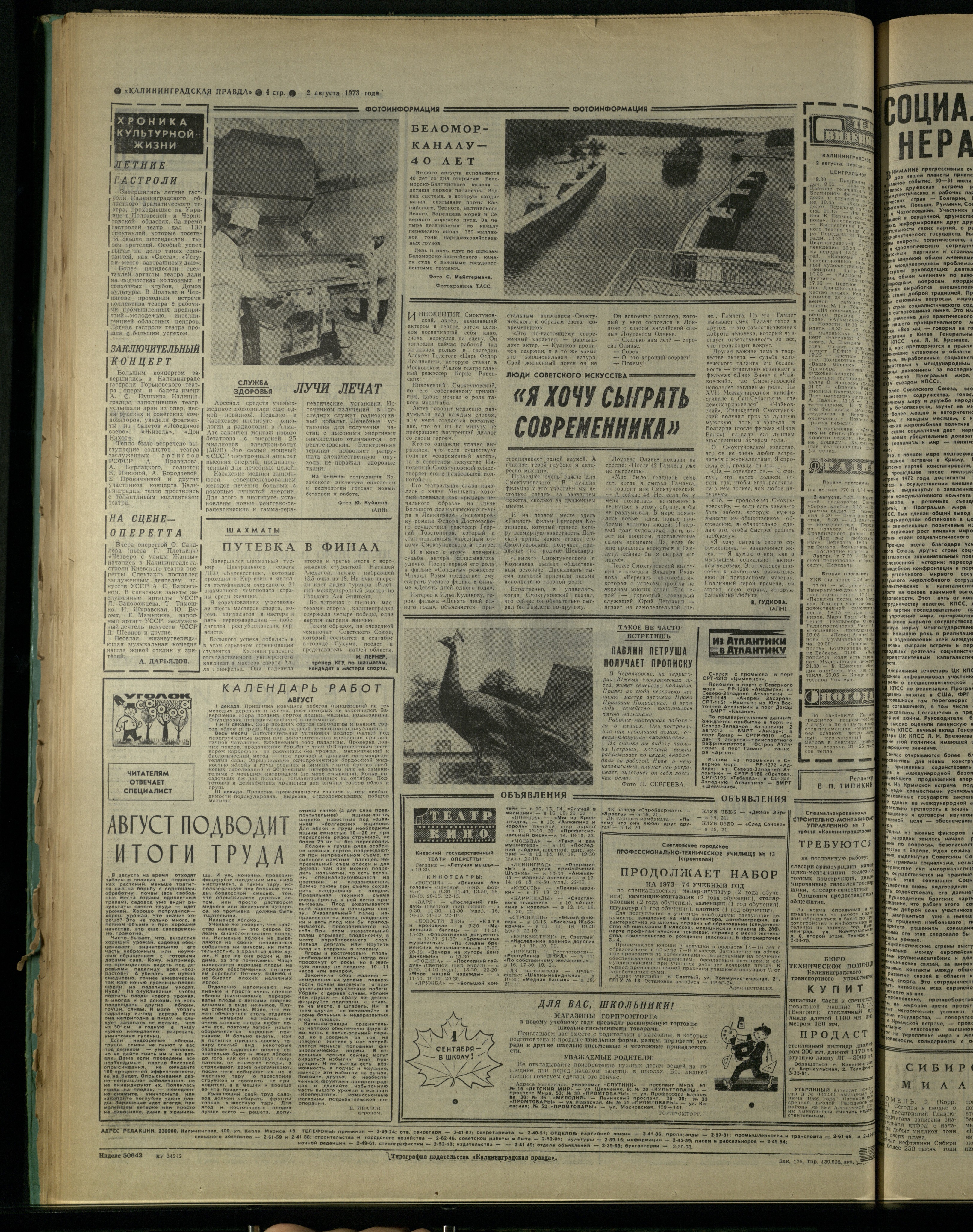 178-8-73-4