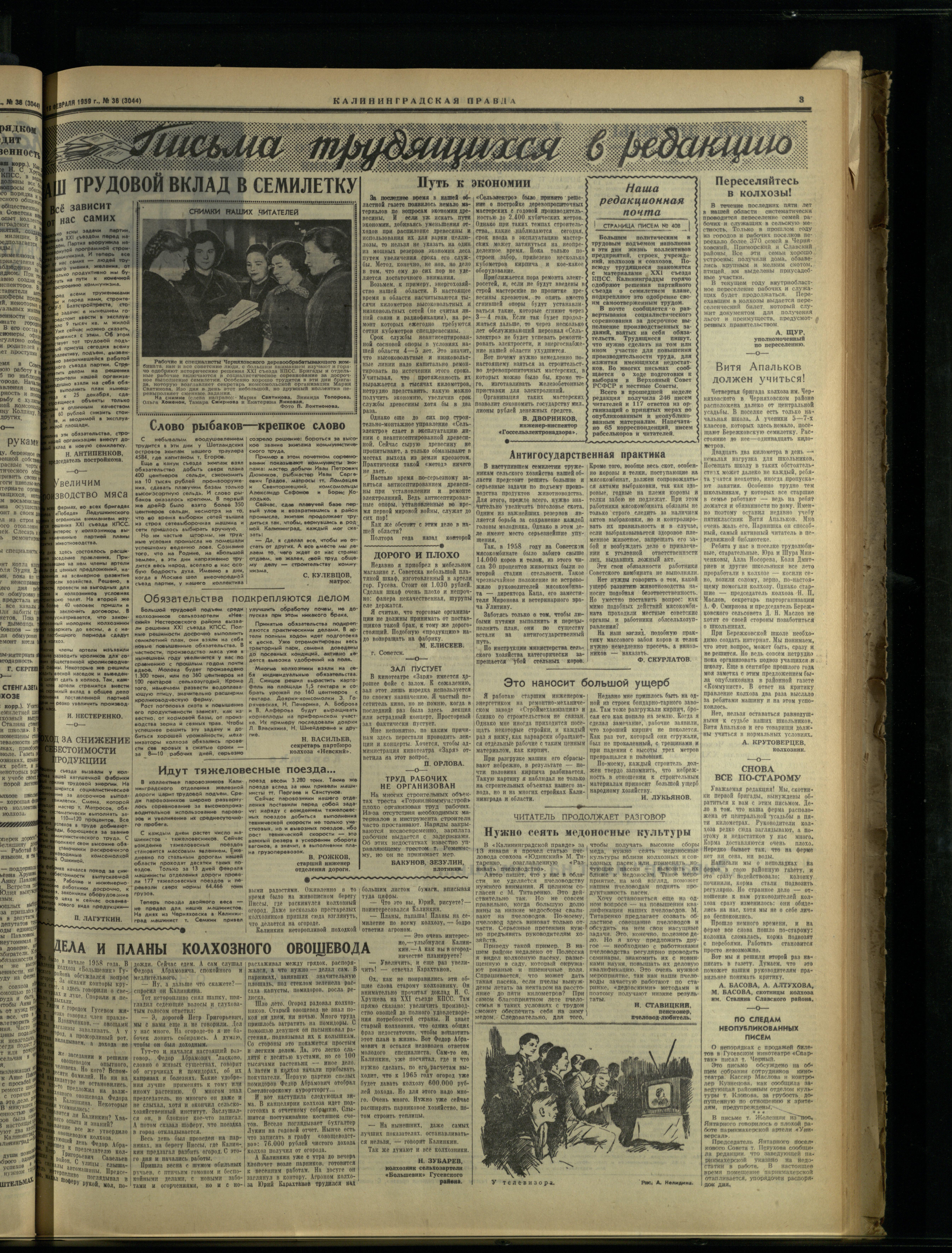 38-2-59-3