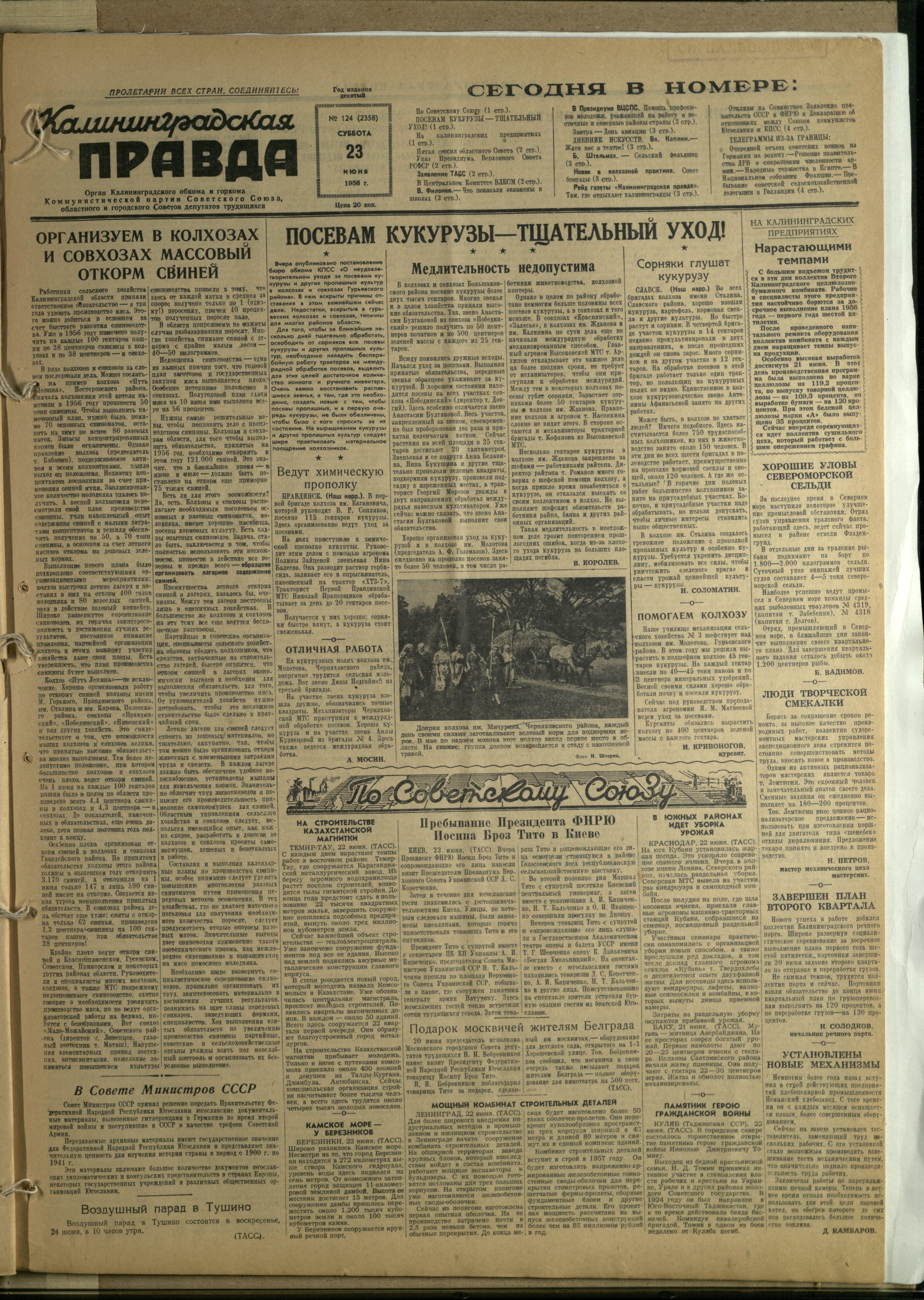 124-6-56-1
