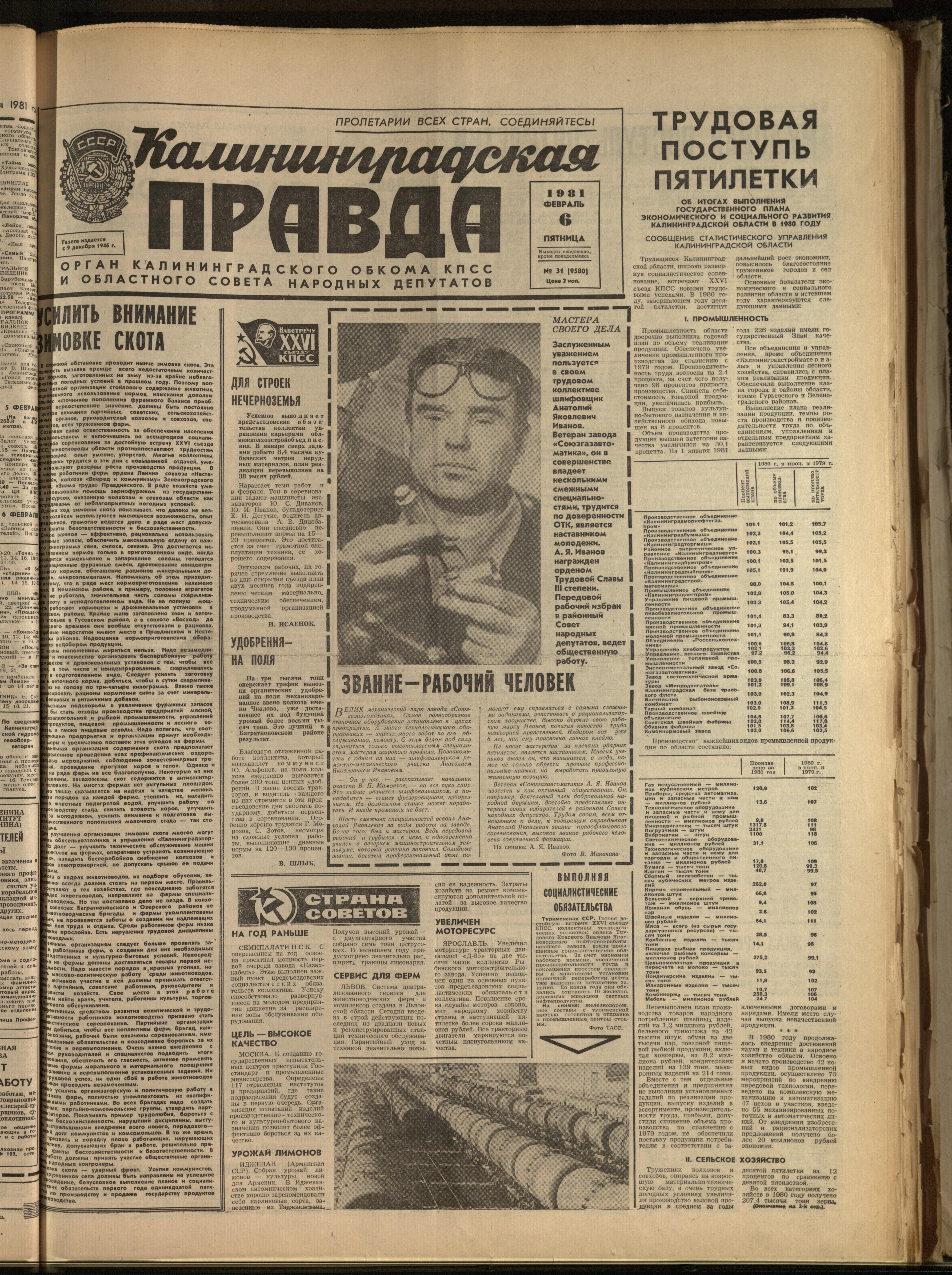 31-2-81-1