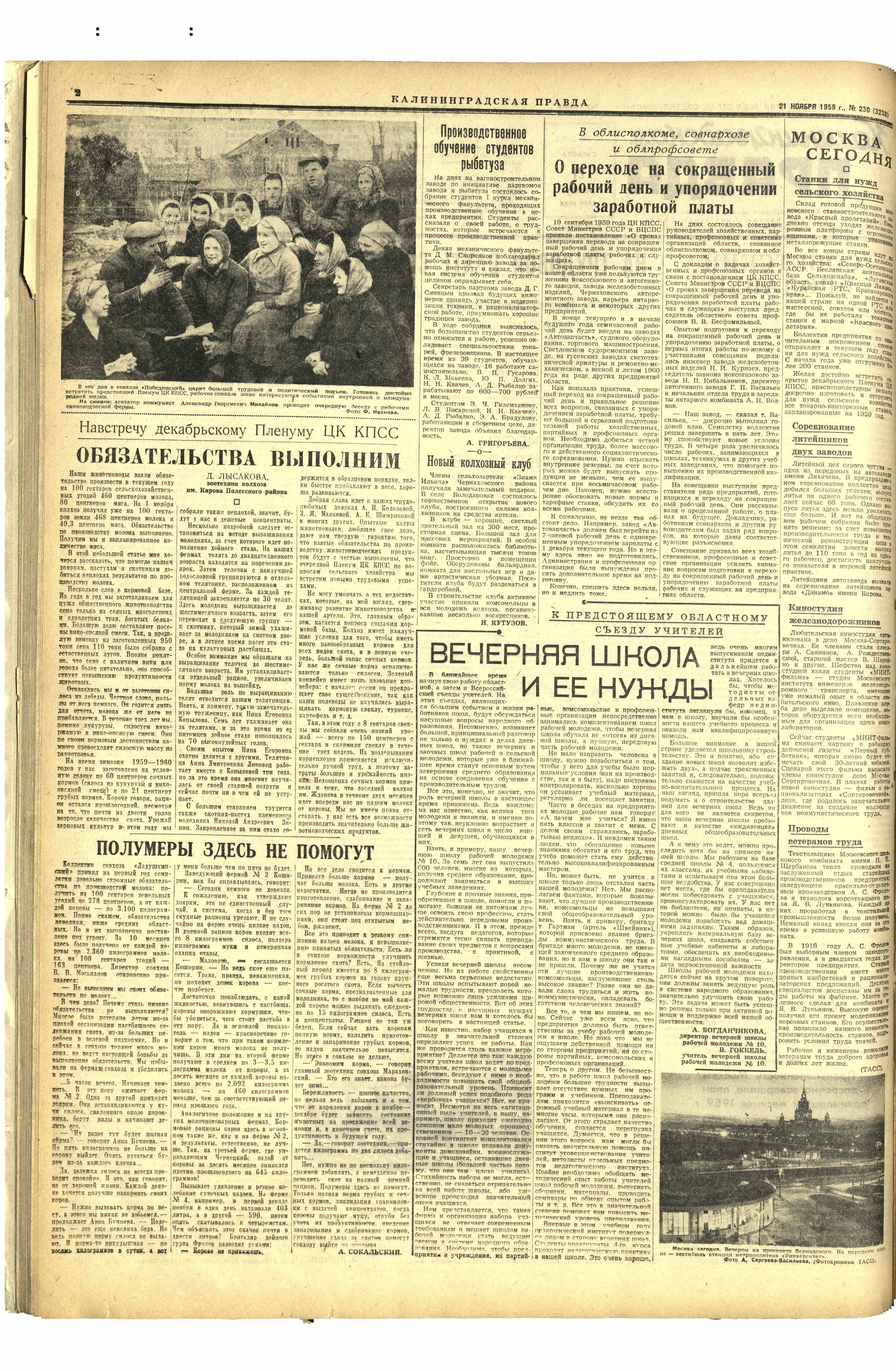 230-11-59-2