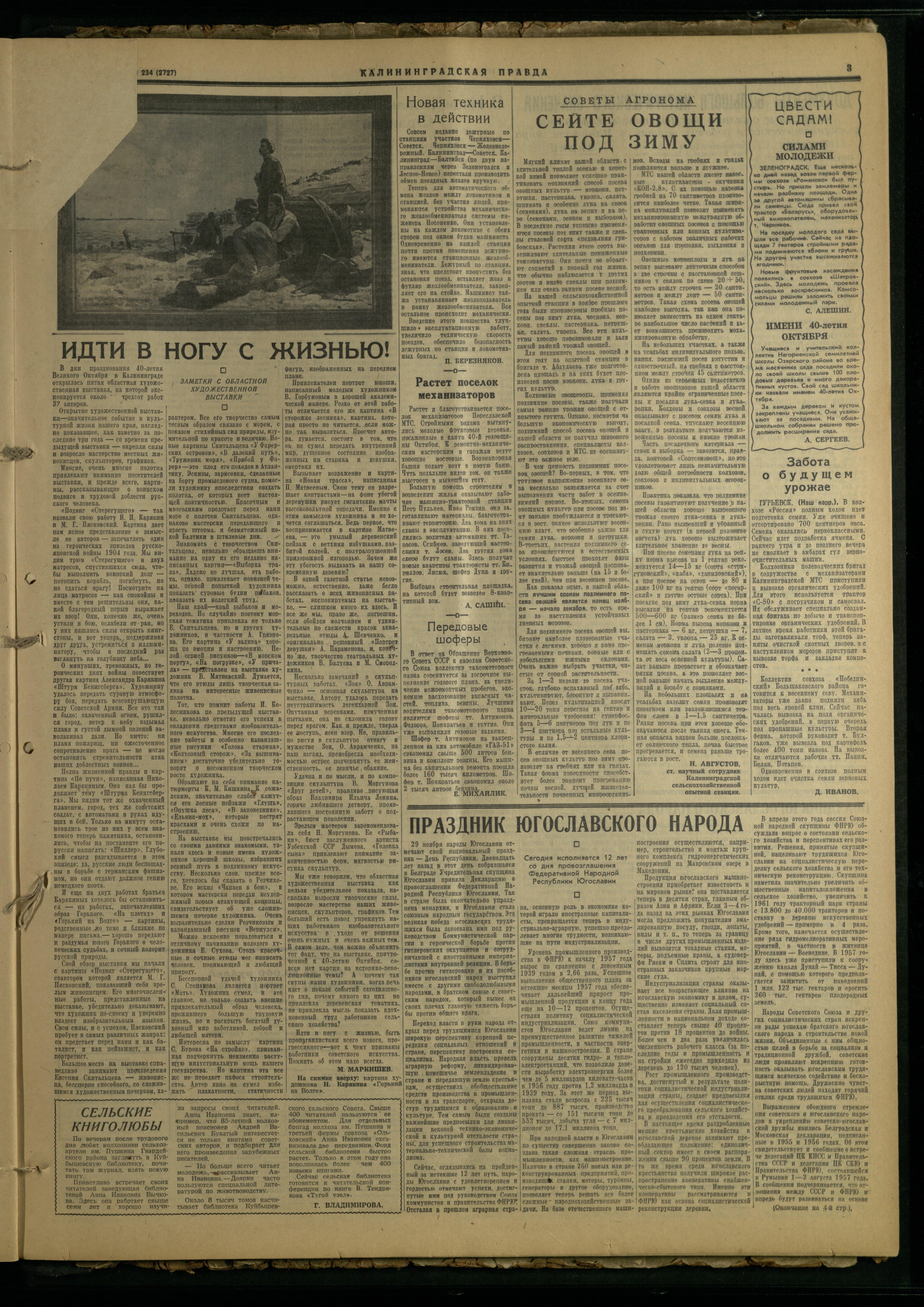 234-11-57-3