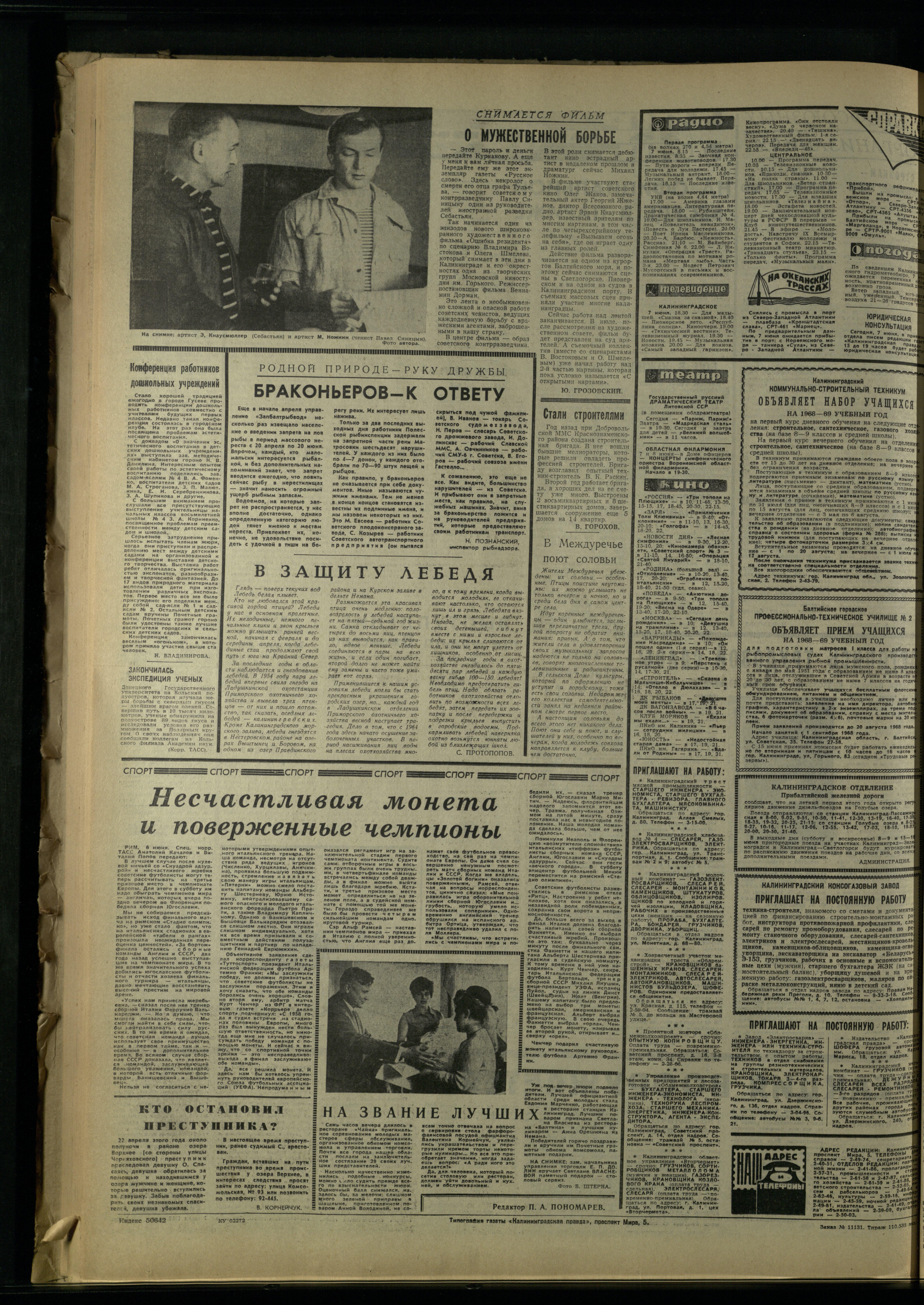 131-6-68-4
