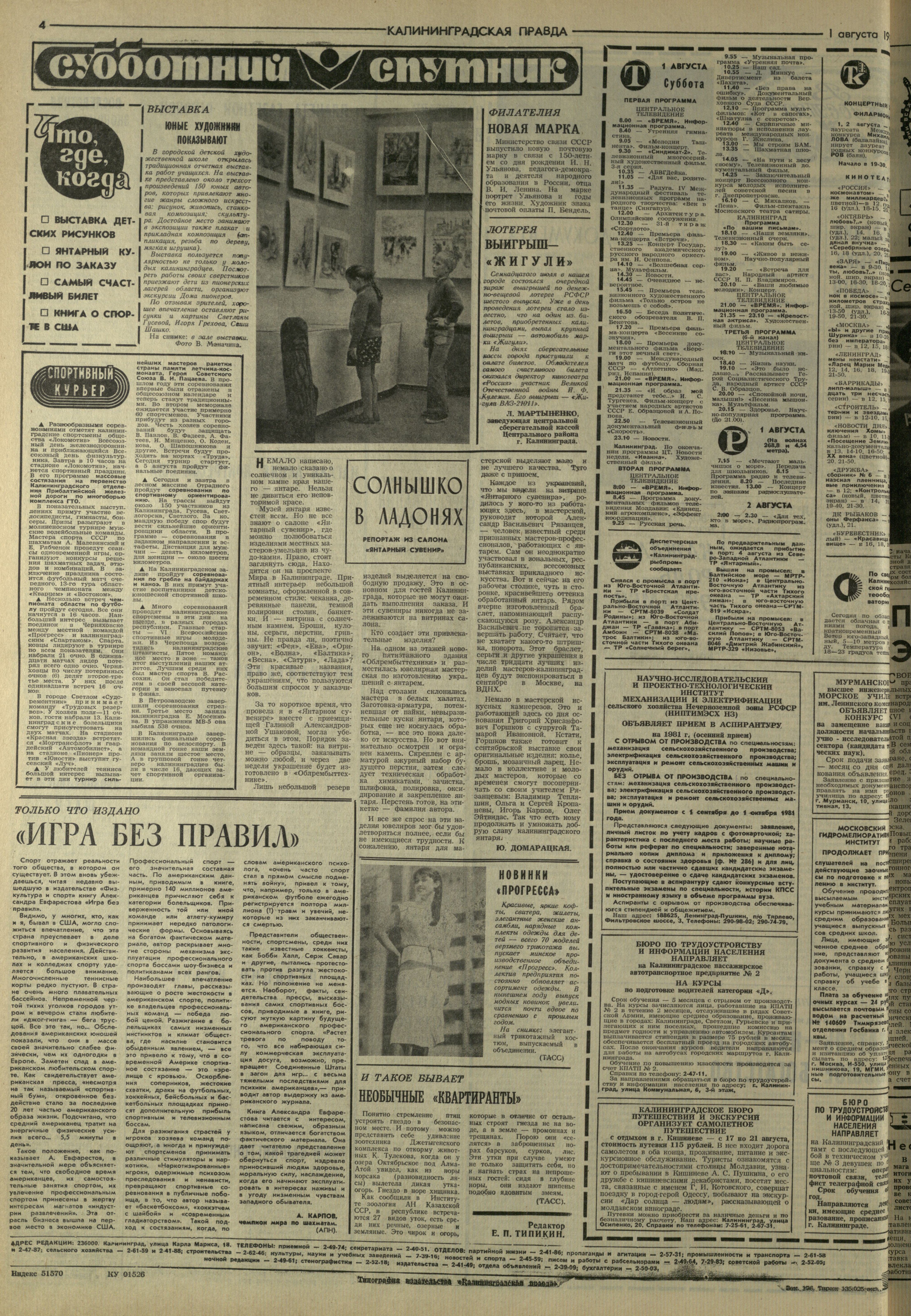 176-8-81-4