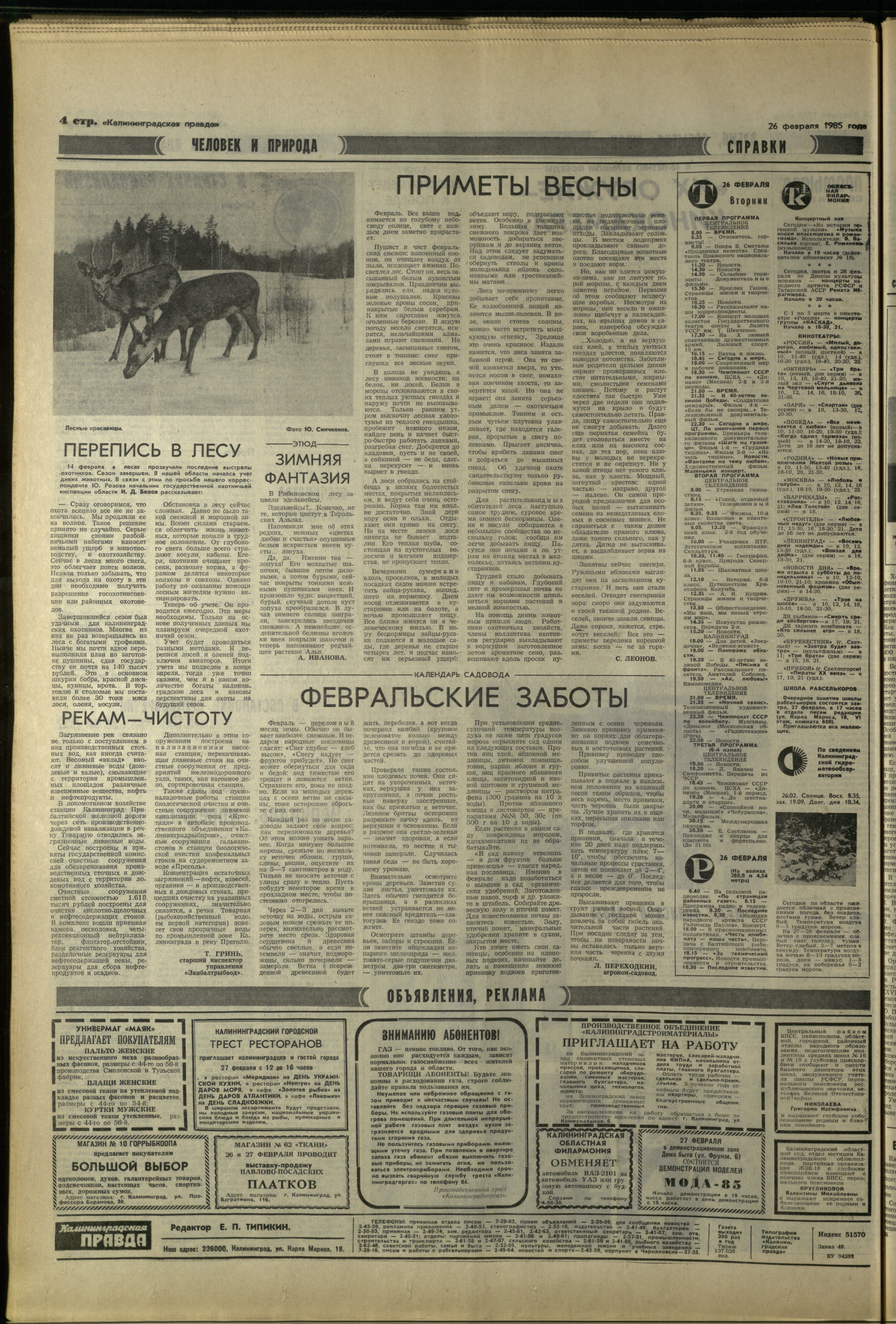 49-2-85-4