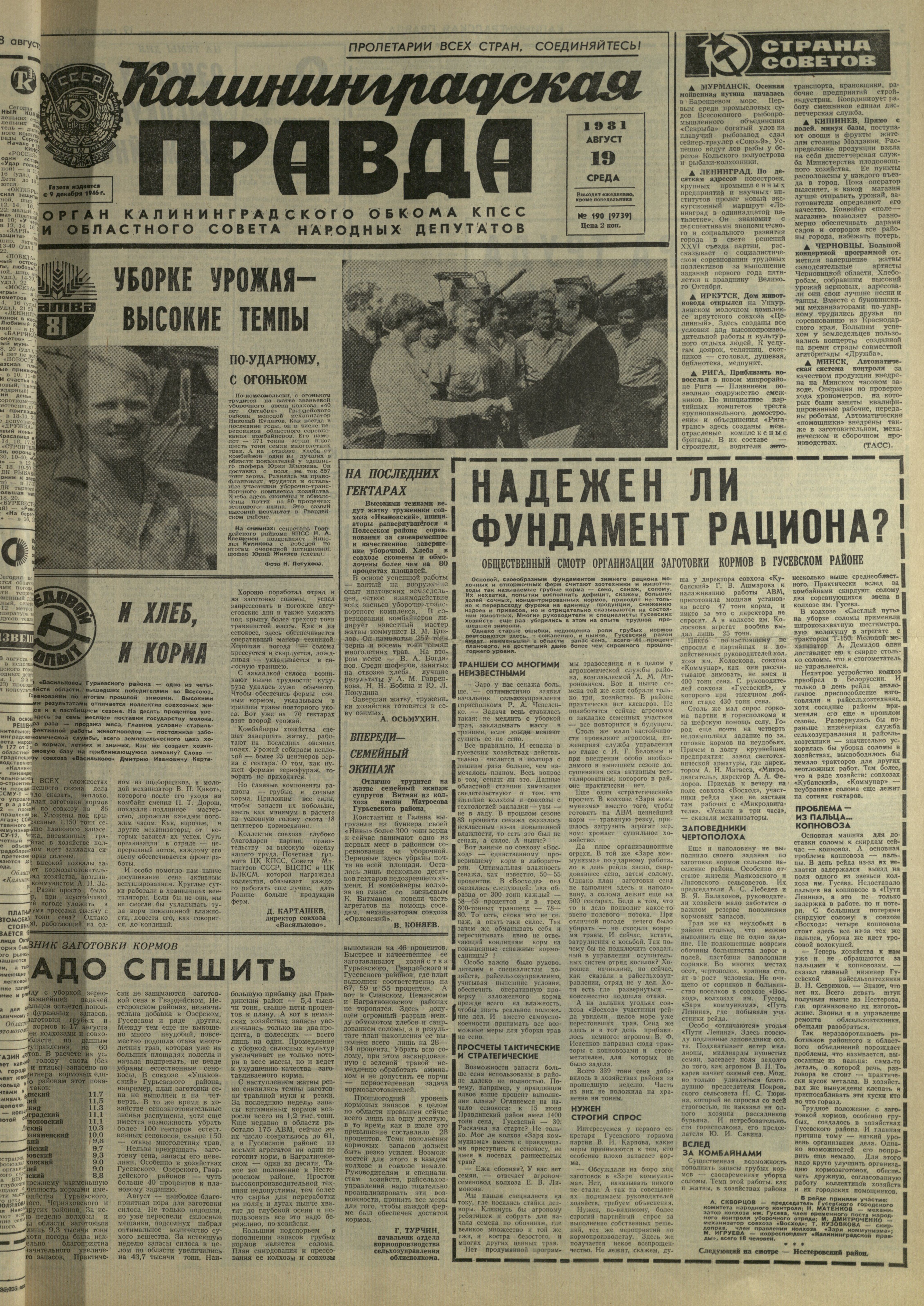 190-8-81-1