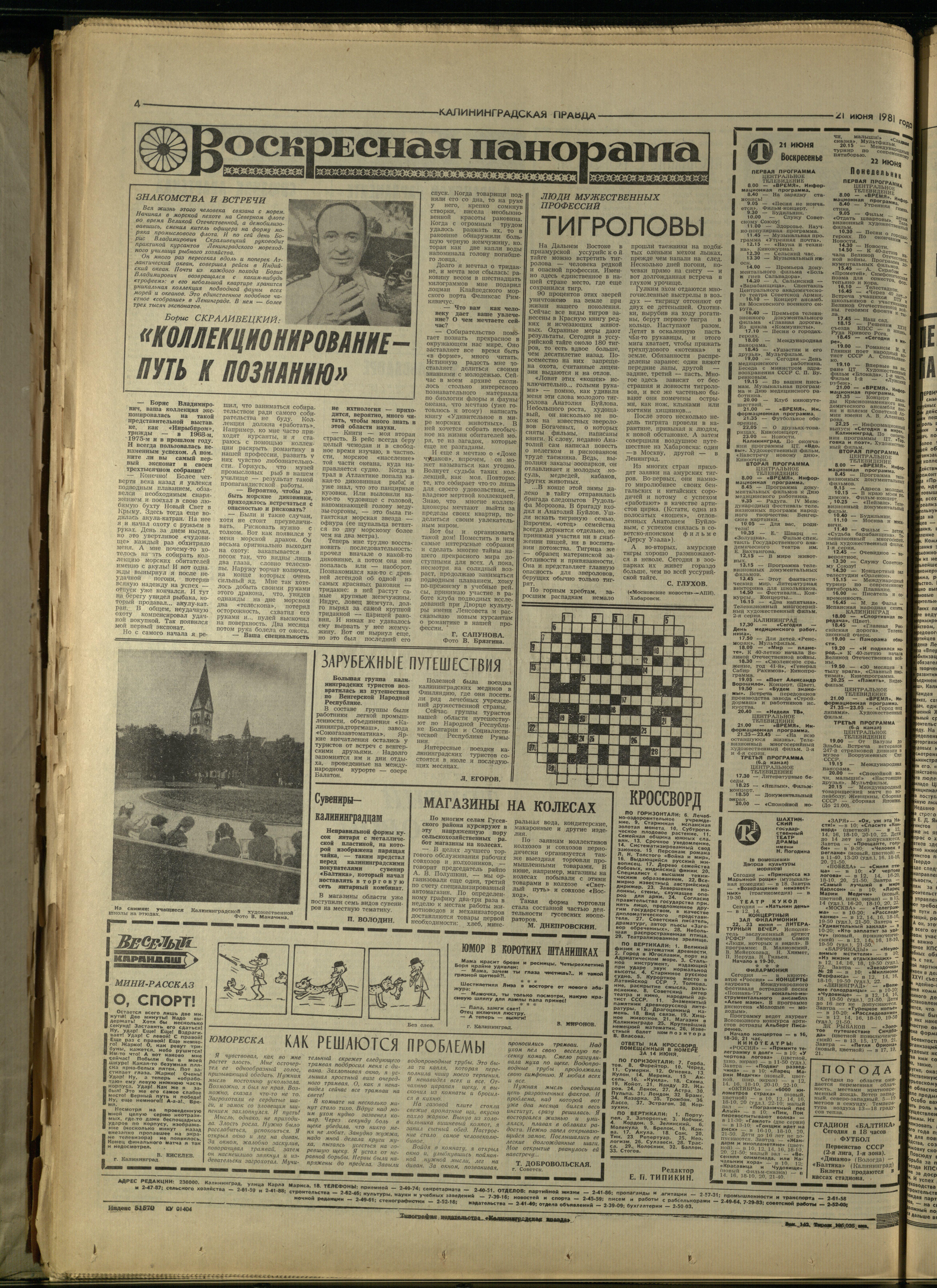 142-6-81-4