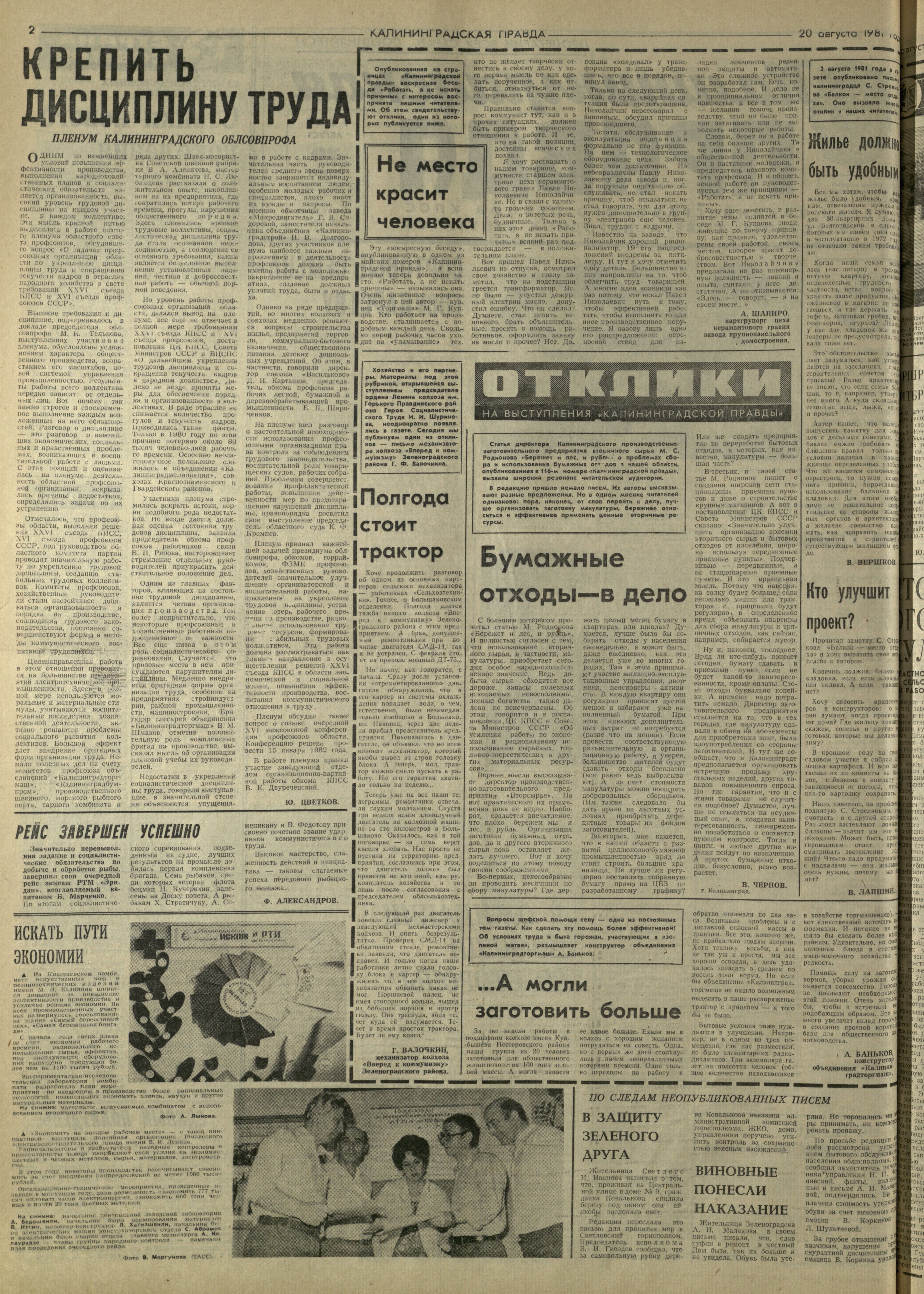 191-8-81-2