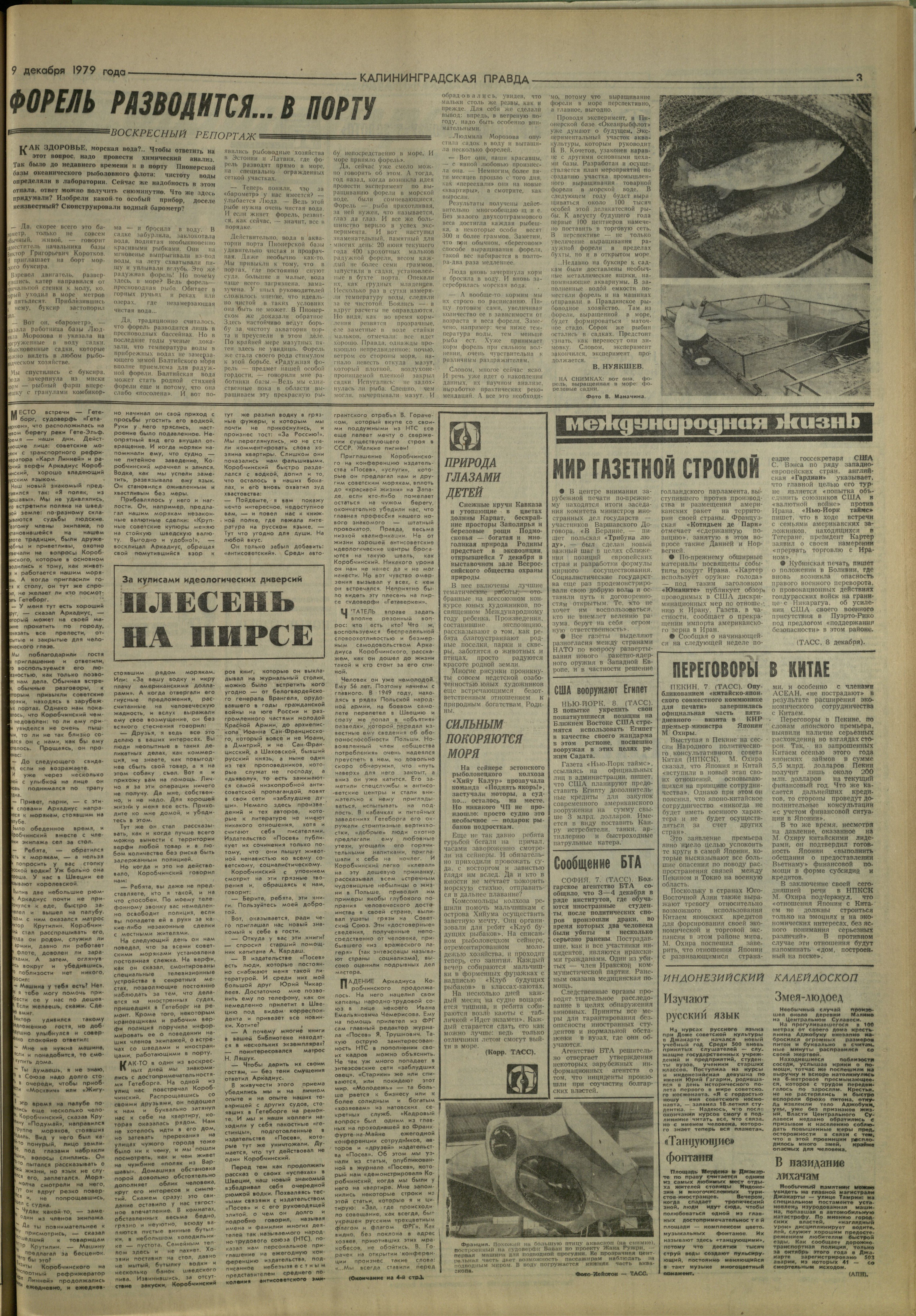 282-12-79-3