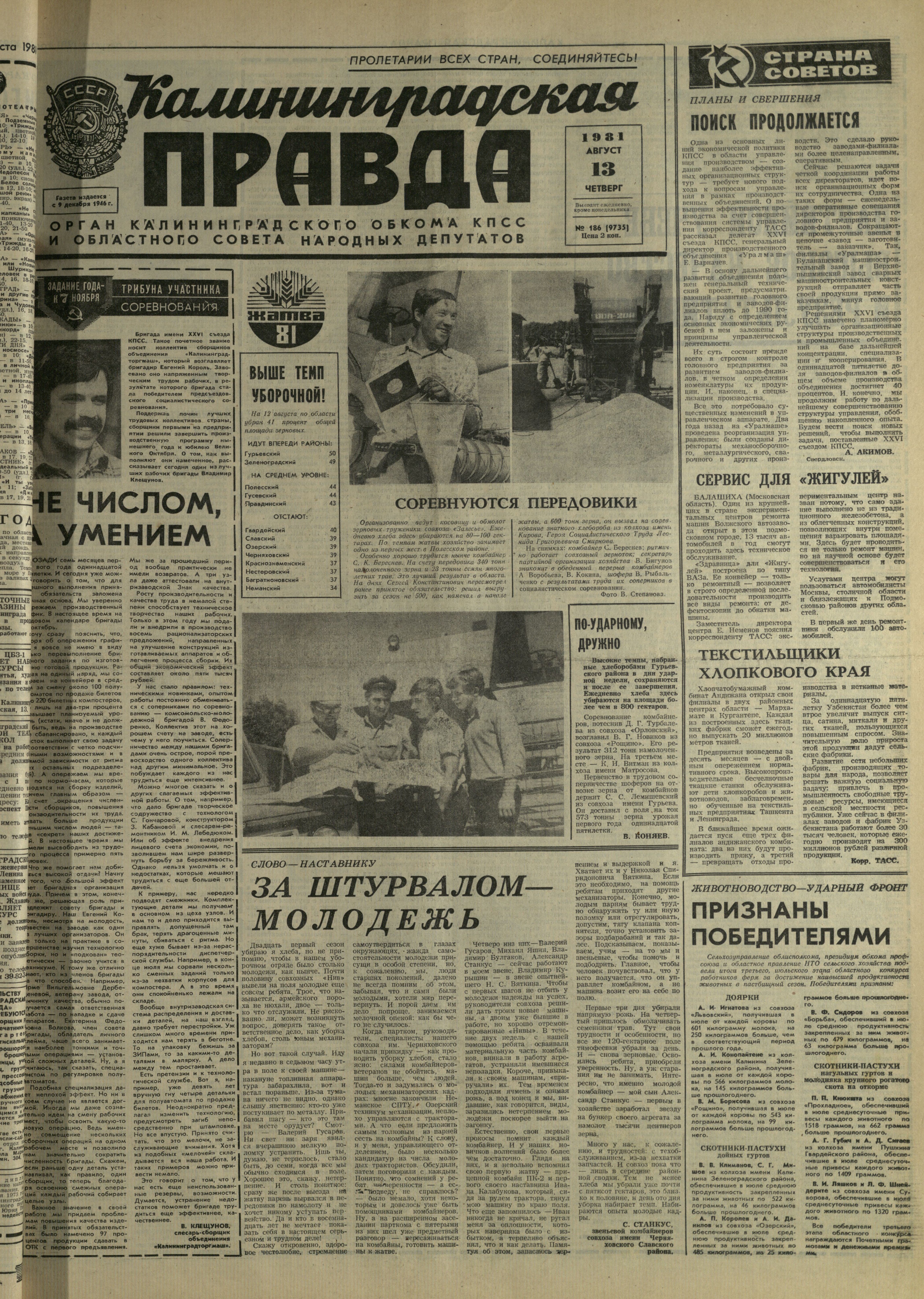 186-8-81-1