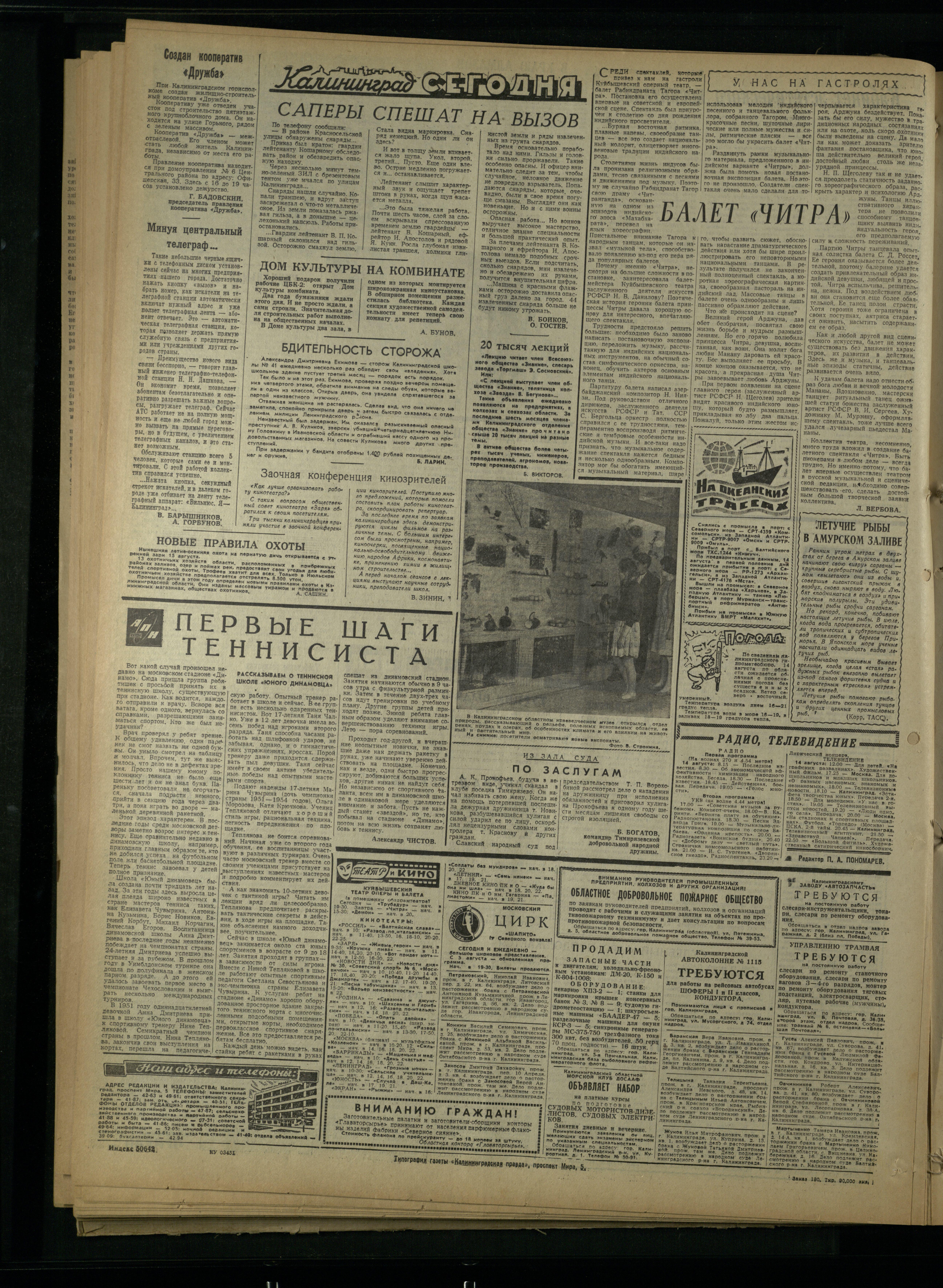 190-8-64-4