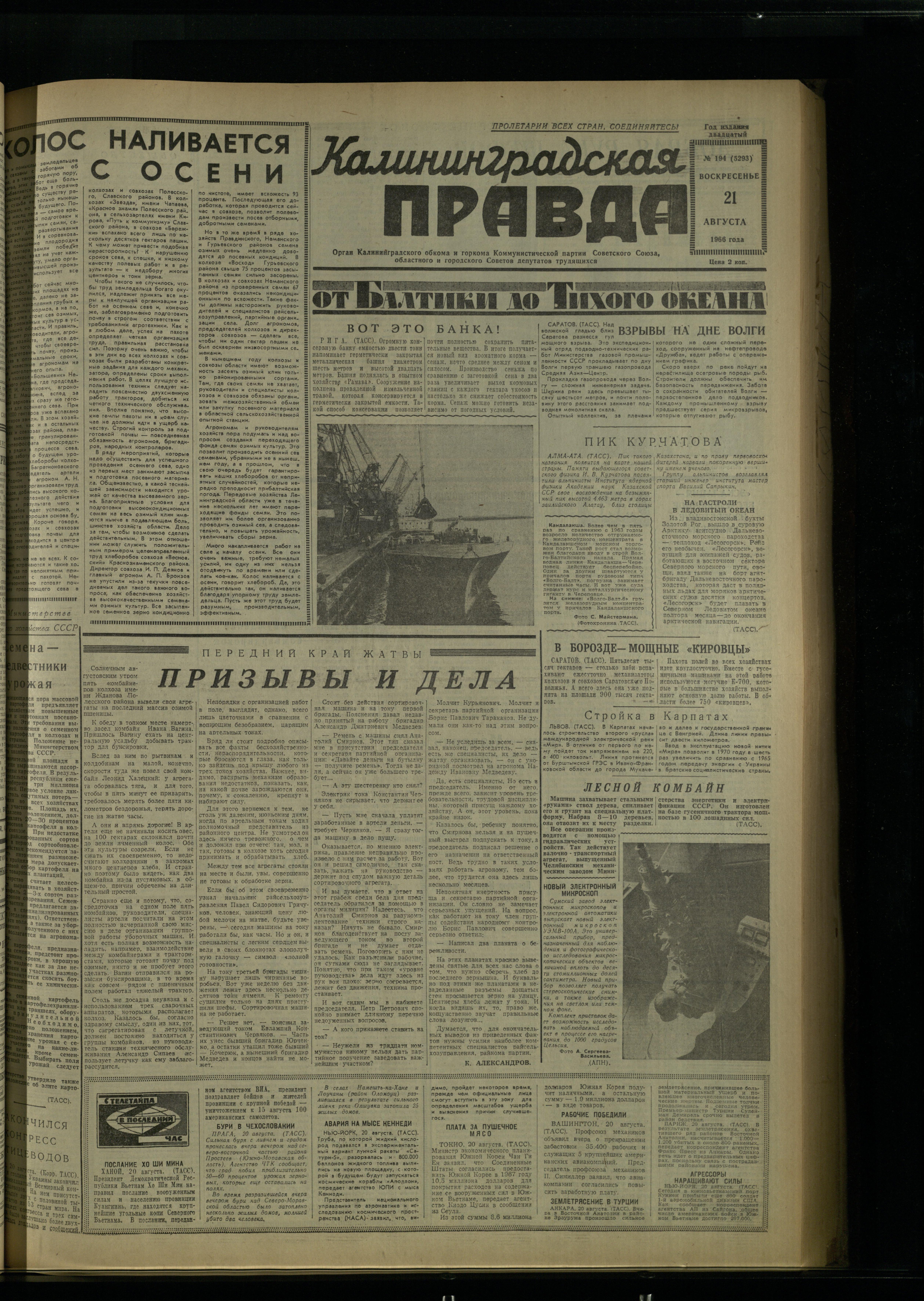 194-8-66-1