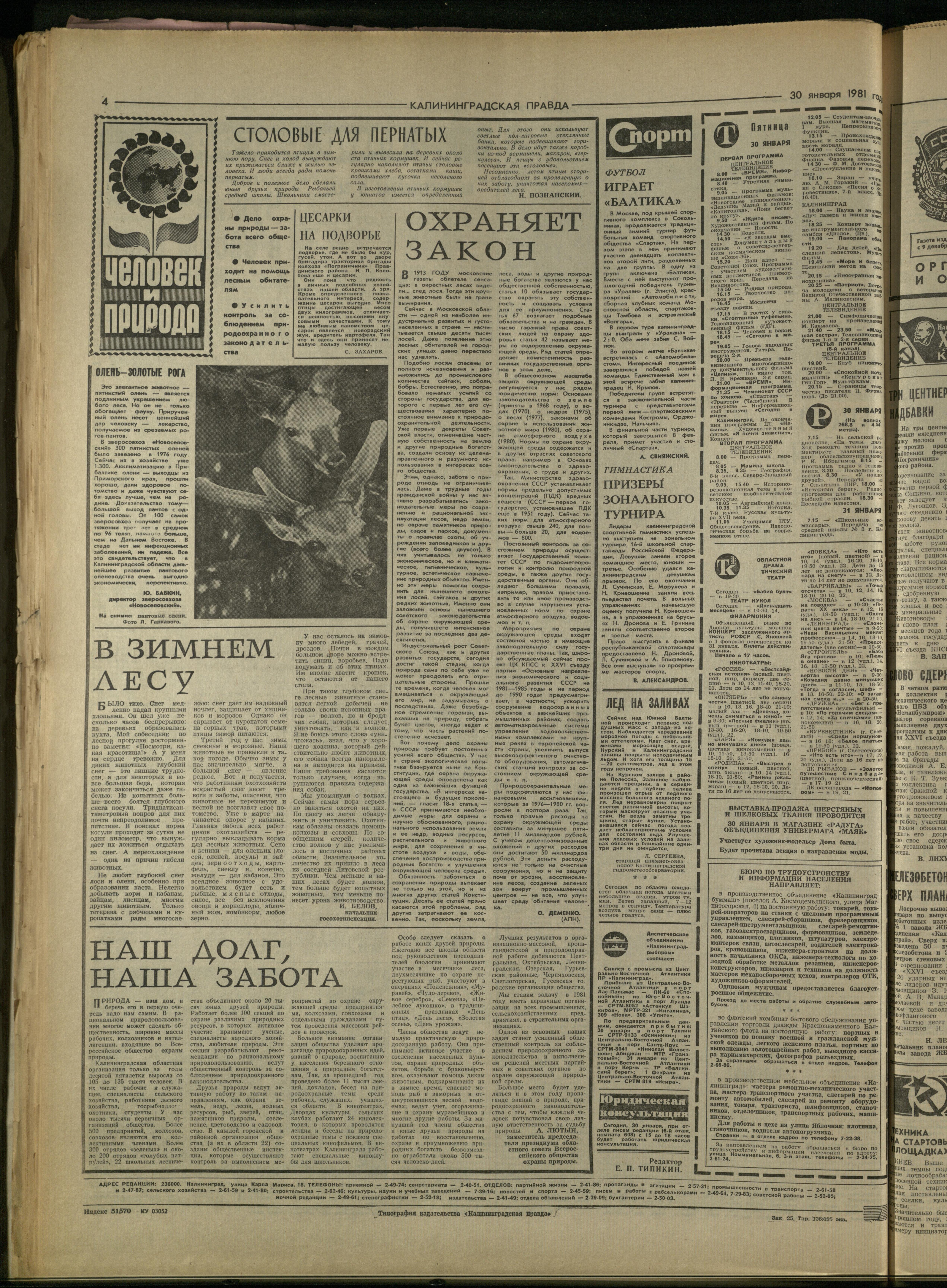 25-1-81-4