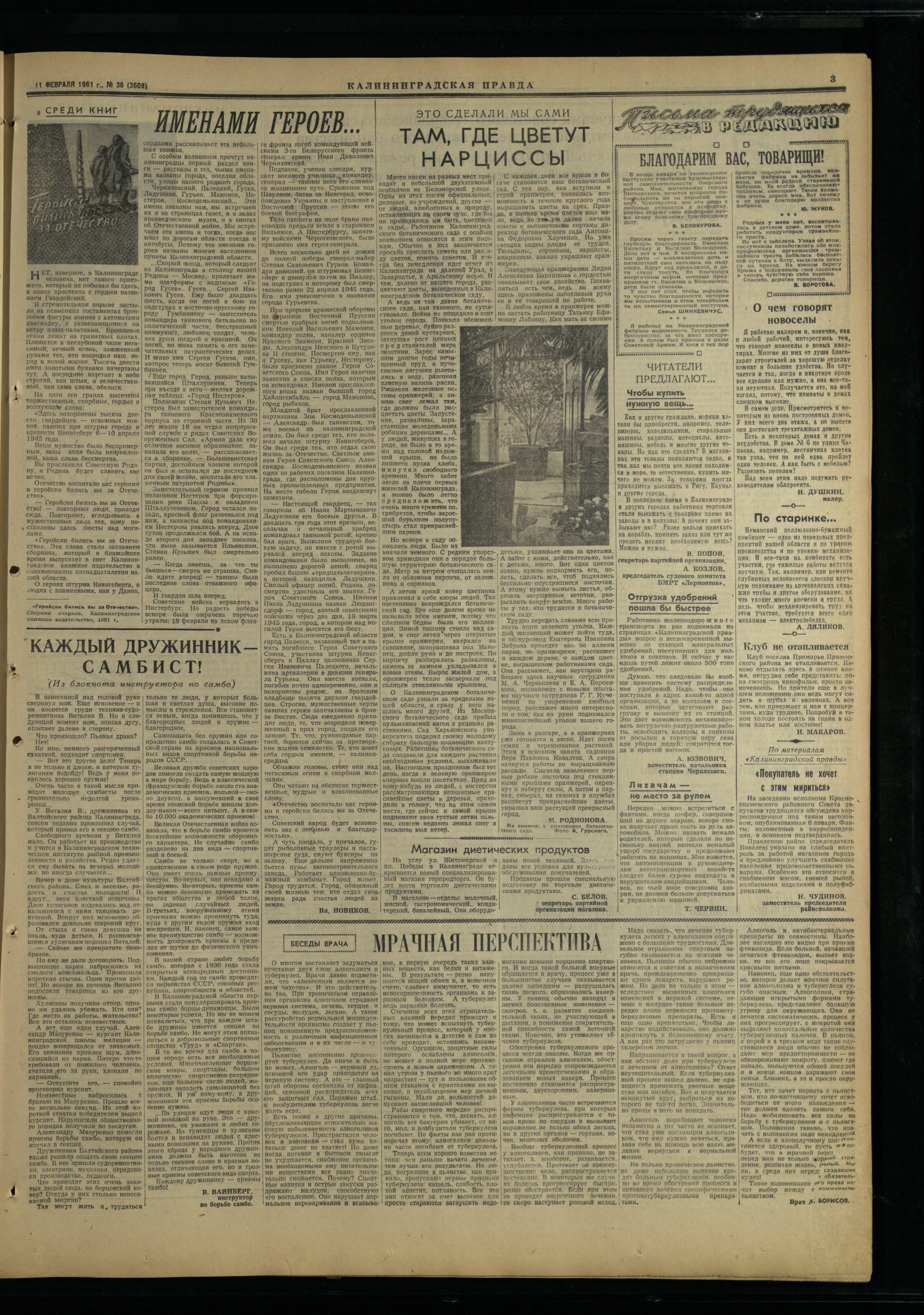 36-2-61-3